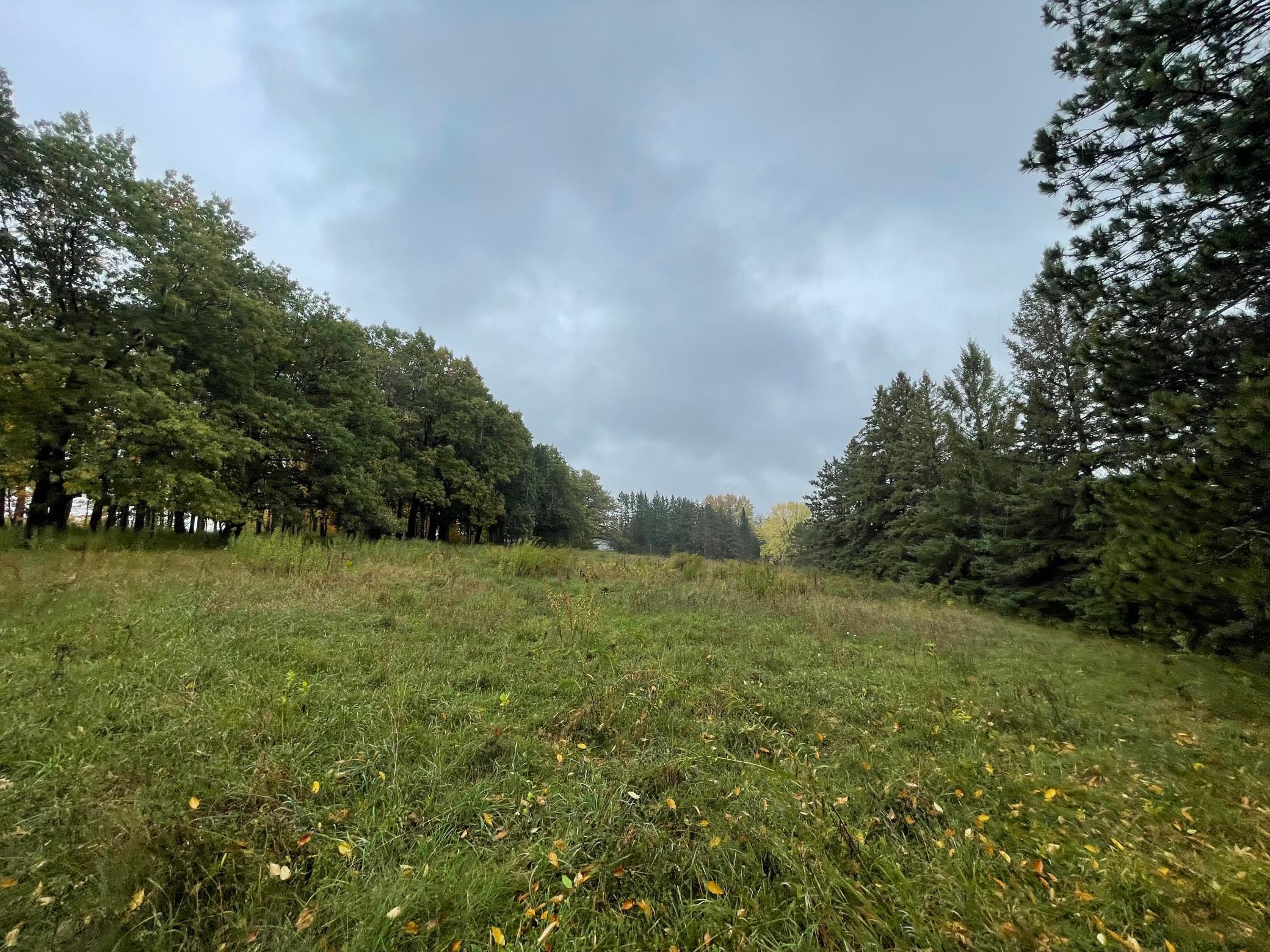 View of Land at 5460 Vicksburg Lane, Plymouth MN 55446, Plymouth (15 of 34) - Mike Wilen | Minnesota Team Real Estate