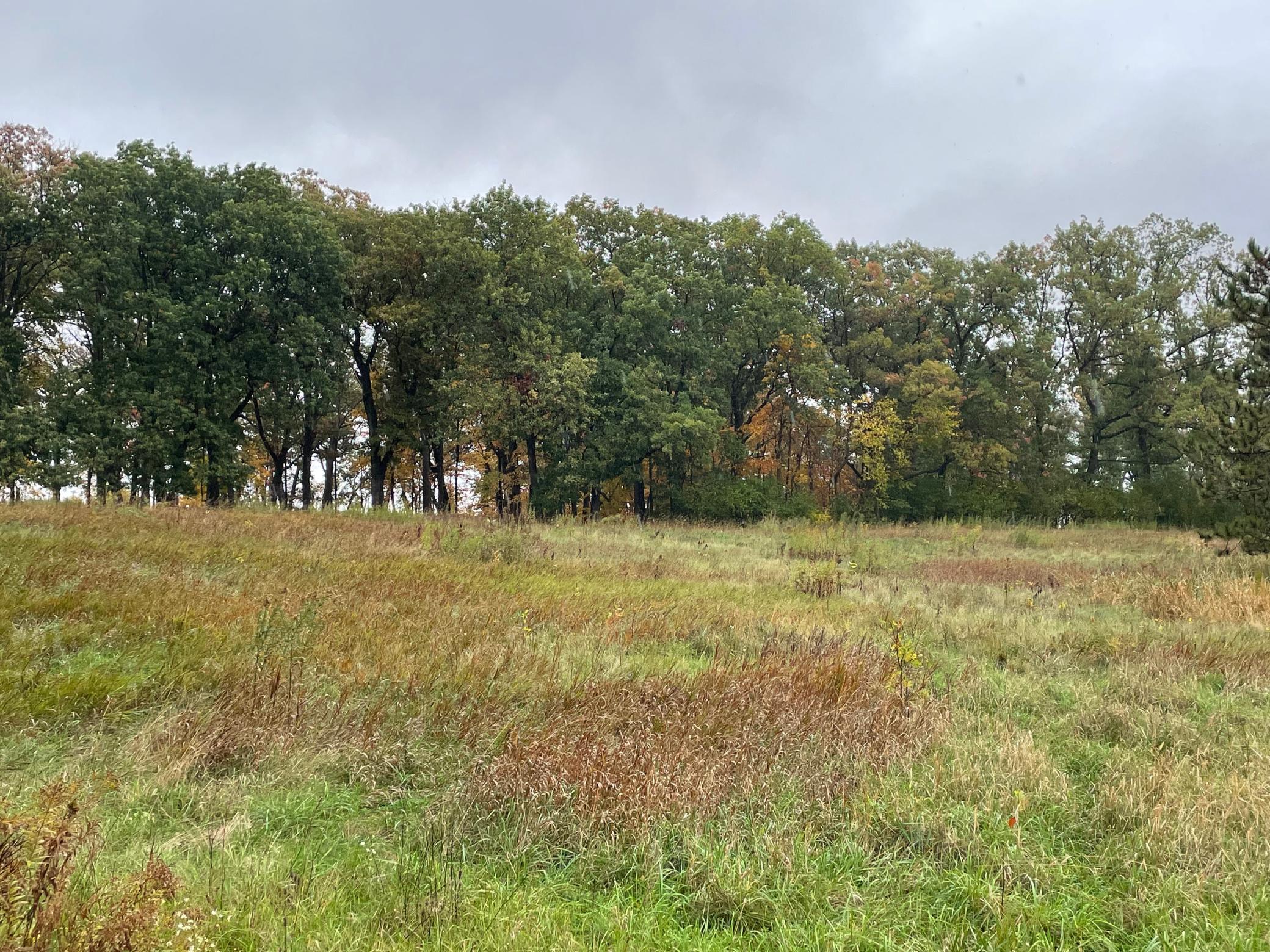 View of Land at 5460 Vicksburg Lane, Plymouth MN 55446, Plymouth (12 of 34) - Mike Wilen | Minnesota Team Real Estate