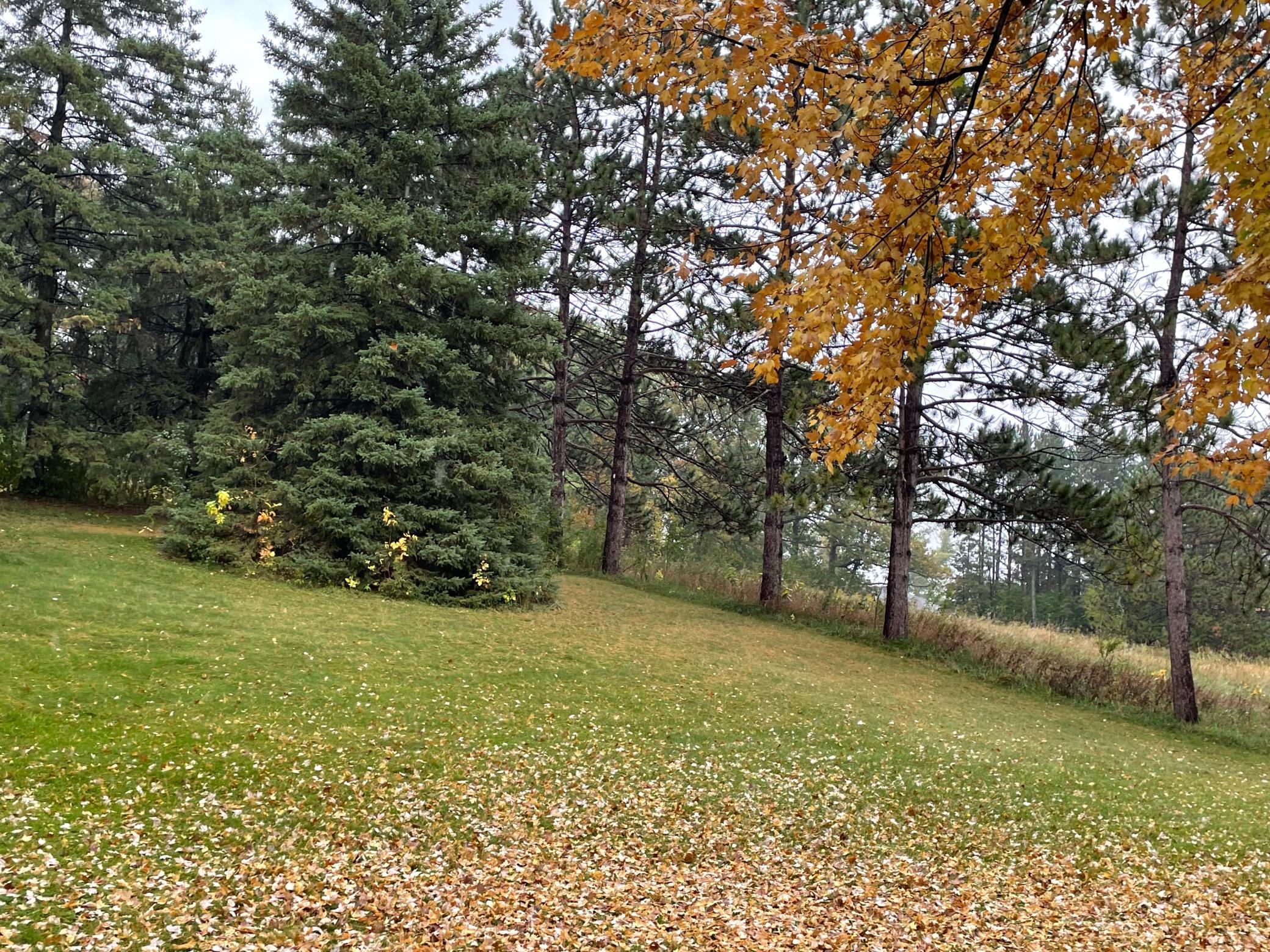 View of Land at 5460 Vicksburg Lane, Plymouth MN 55446, Plymouth (10 of 34) - Mike Wilen | Minnesota Team Real Estate