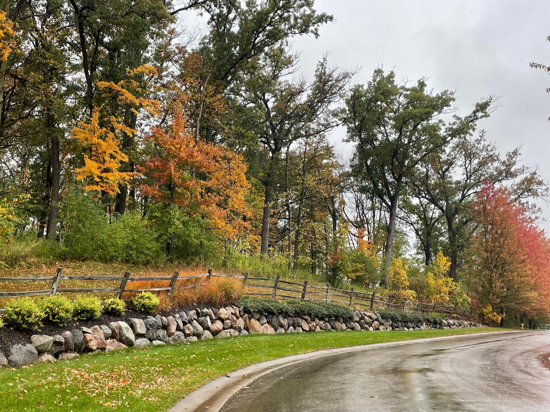 View of Land at 5460 Vicksburg Lane, Plymouth MN 55446, Plymouth (7 of 34) - Mike Wilen | Minnesota Team Real Estate