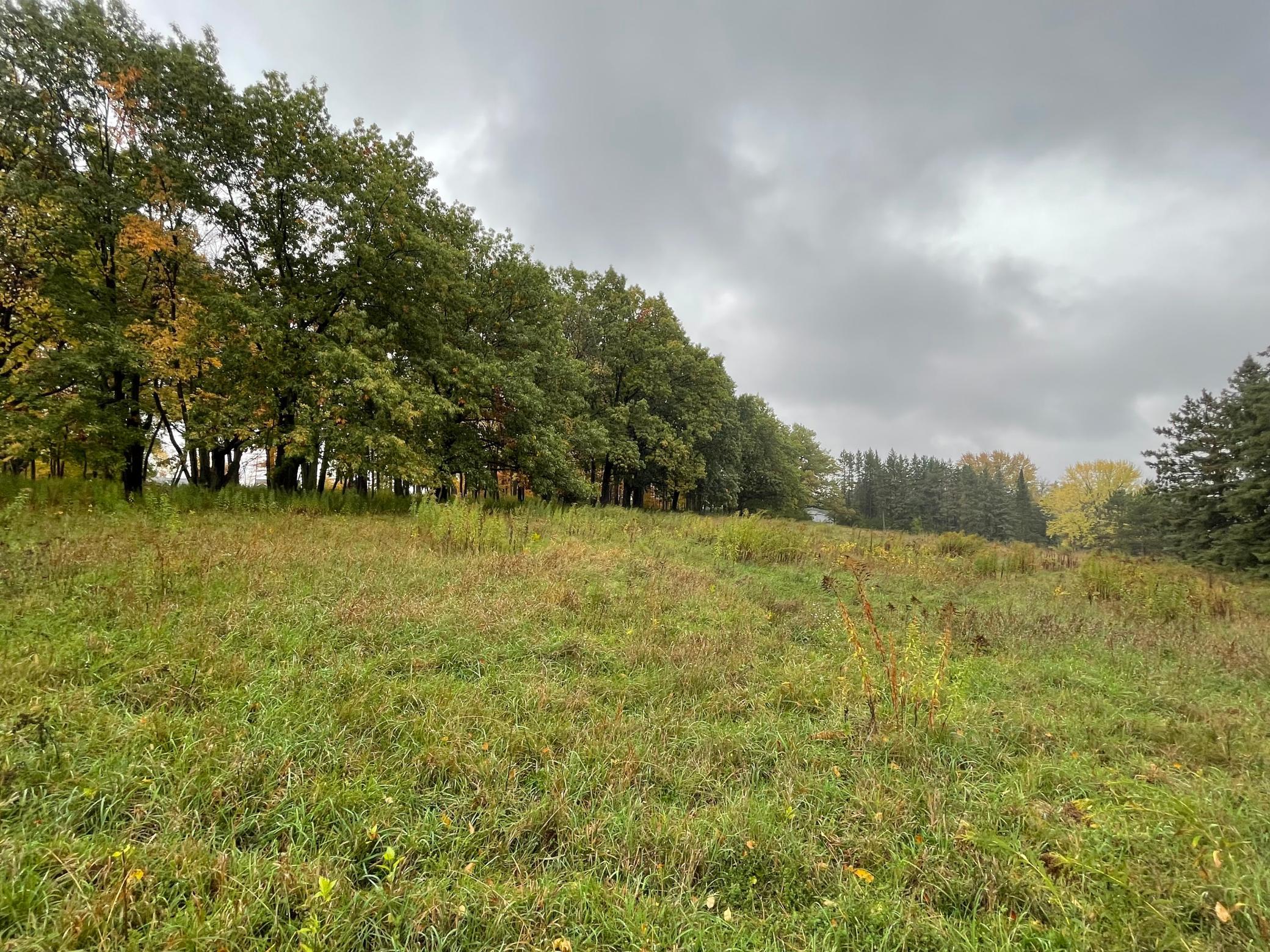 View of Land at 5460 Vicksburg Lane, Plymouth MN 55446, Plymouth (5 of 34) - Mike Wilen | Minnesota Team Real Estate