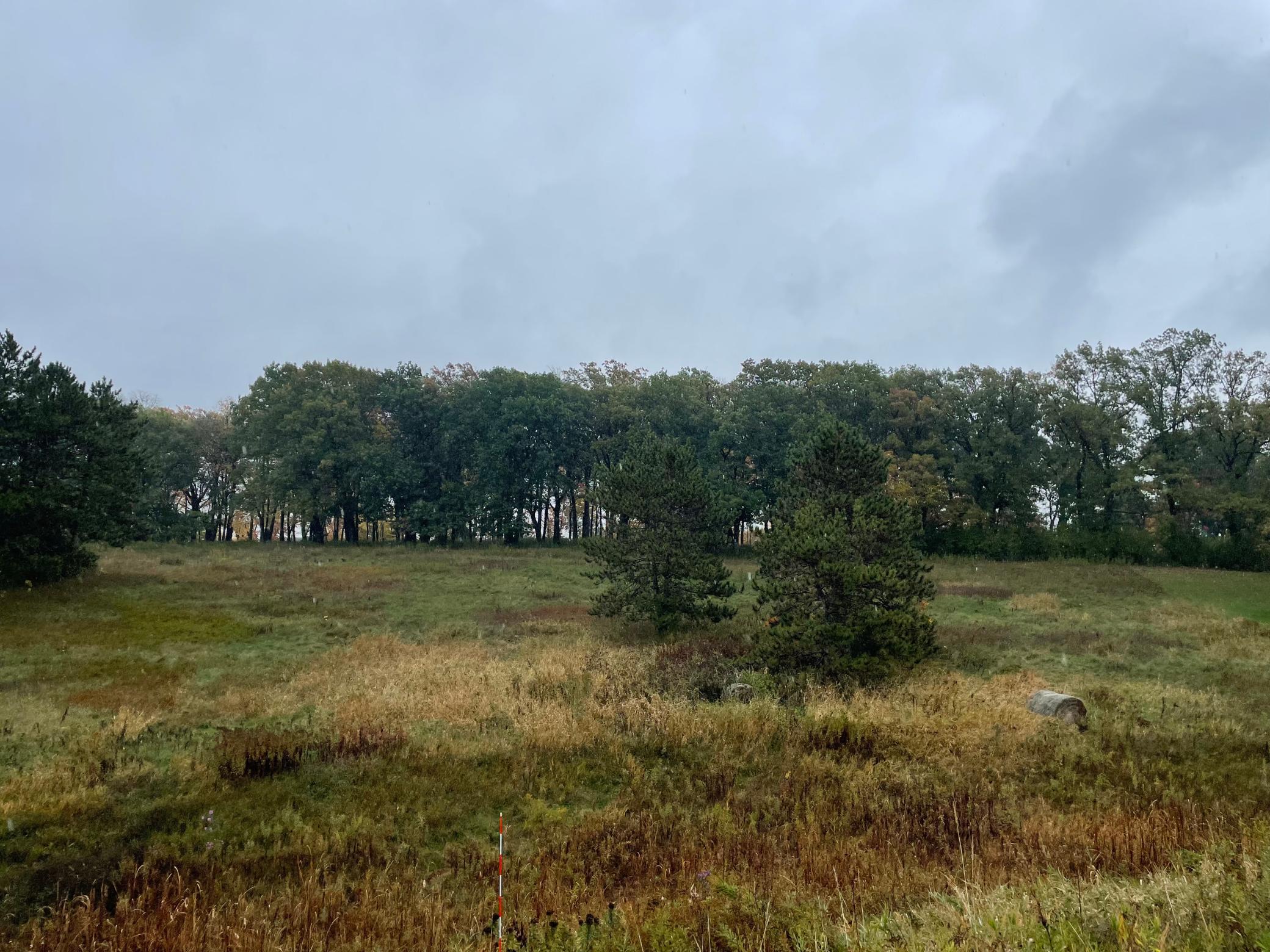 View of Land at 5460 Vicksburg Lane, Plymouth MN 55446, Plymouth (2 of 34) - Mike Wilen | Minnesota Team Real Estate