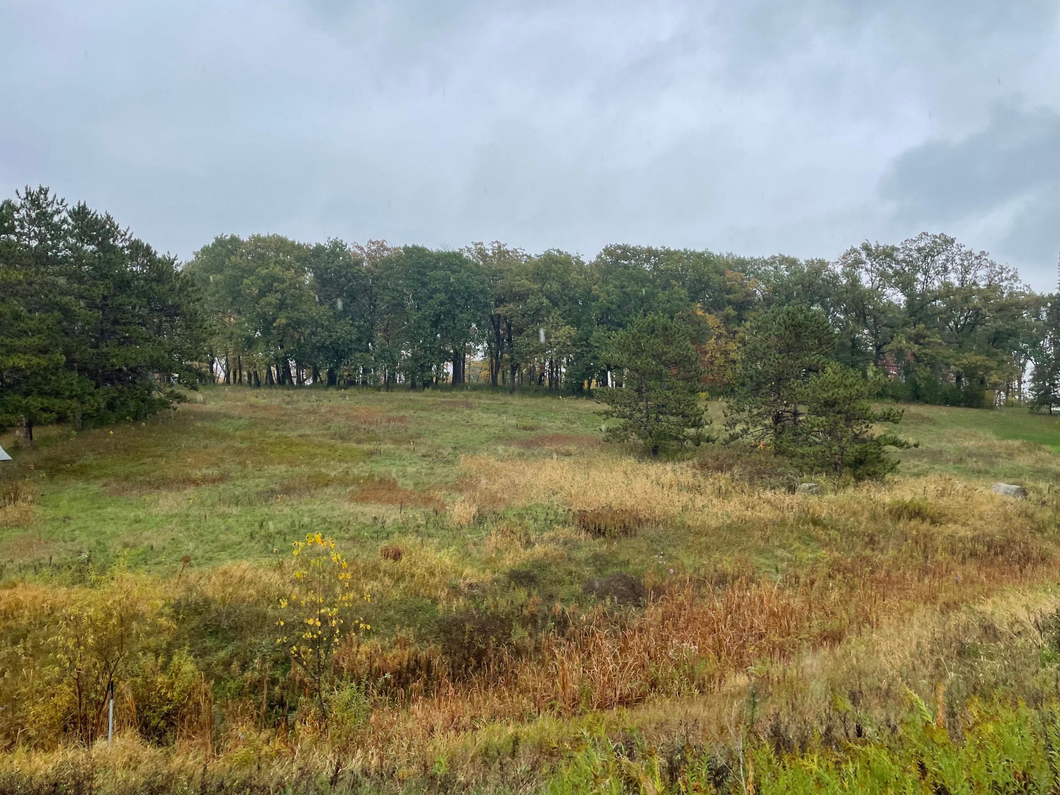 View of Residential Lot at 5460 Vicksburg Lane, Plymouth - Mike Wilen | Minnesota Team Real Estate