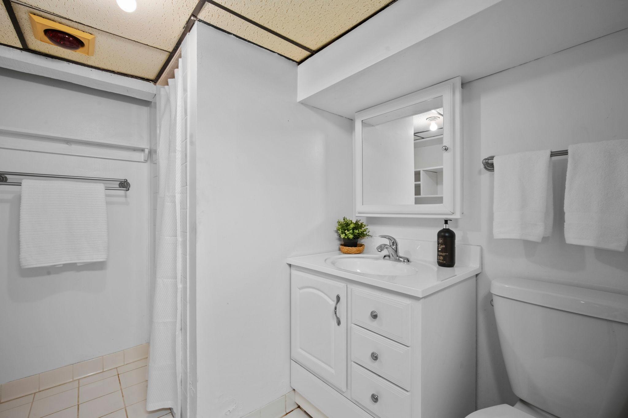 View of Residential at 1010 Jenks Avenue, Saint Paul MN 55106, Saint Paul (36 of 56) - Mike Wilen | Minnesota Team Real Estate