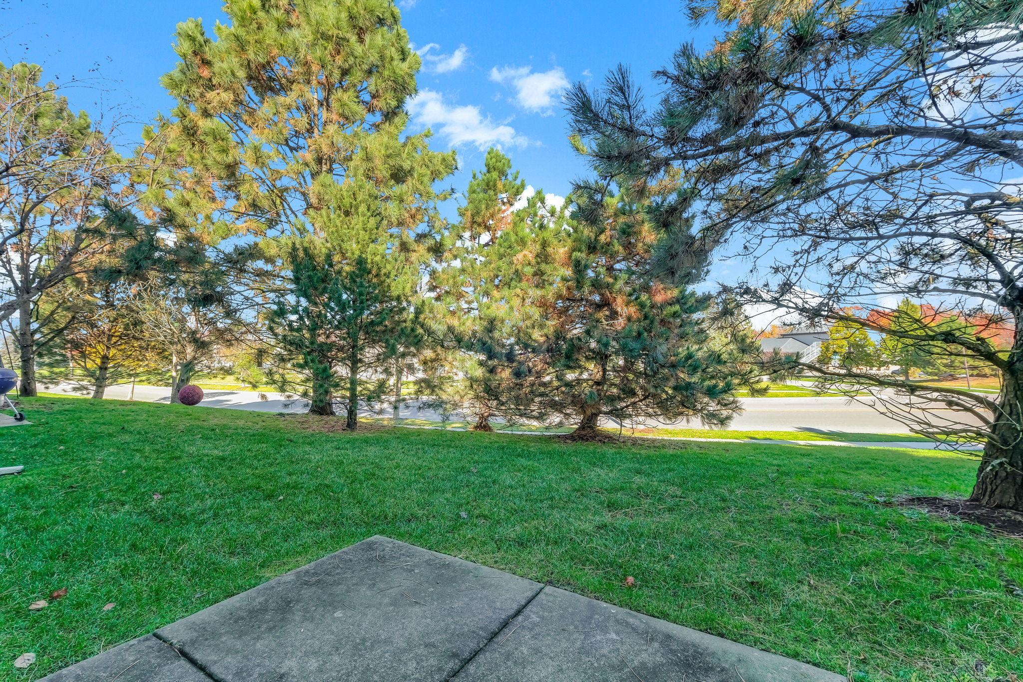 View of Residential at 16825 90th Court, Maple Grove MN 55311, Maple Grove (33 of 36) - Mike Wilen | Minnesota Team Real Estate