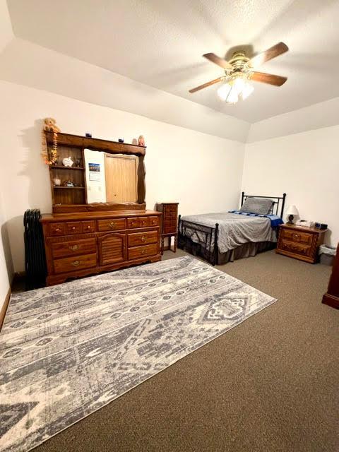 View of Residential at 328 Main Street, Waterville MN 56096, Waterville (21 of 28) - Mike Wilen | Minnesota Team Real Estate