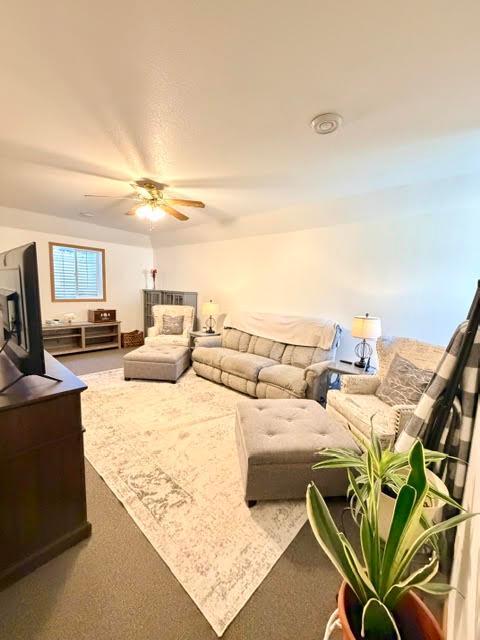 View of Residential at 328 Main Street, Waterville MN 56096, Waterville (20 of 28) - Mike Wilen | Minnesota Team Real Estate