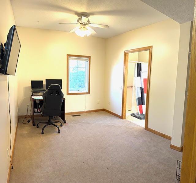 View of Residential at 328 Main Street, Waterville MN 56096, Waterville (9 of 28) - Mike Wilen | Minnesota Team Real Estate