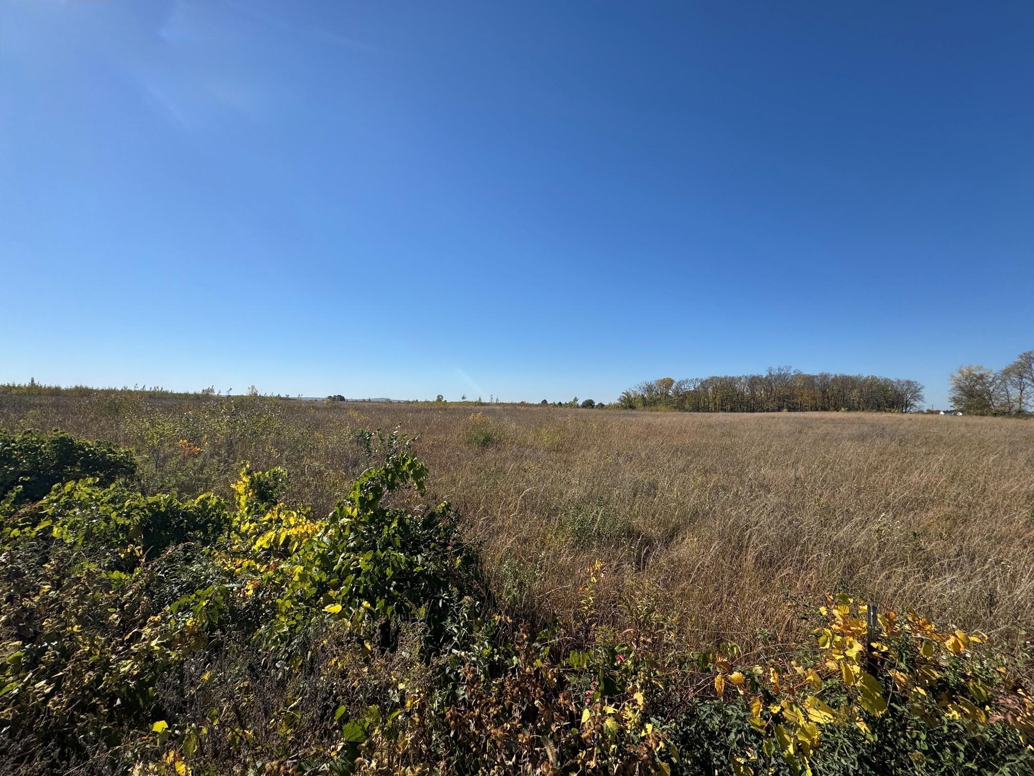 View of Residential at 10312 Griffin Avenue, Cottage Grove MN 55016, Cottage Grove (32 of 36) - Mike Wilen | Minnesota Team Real Estate