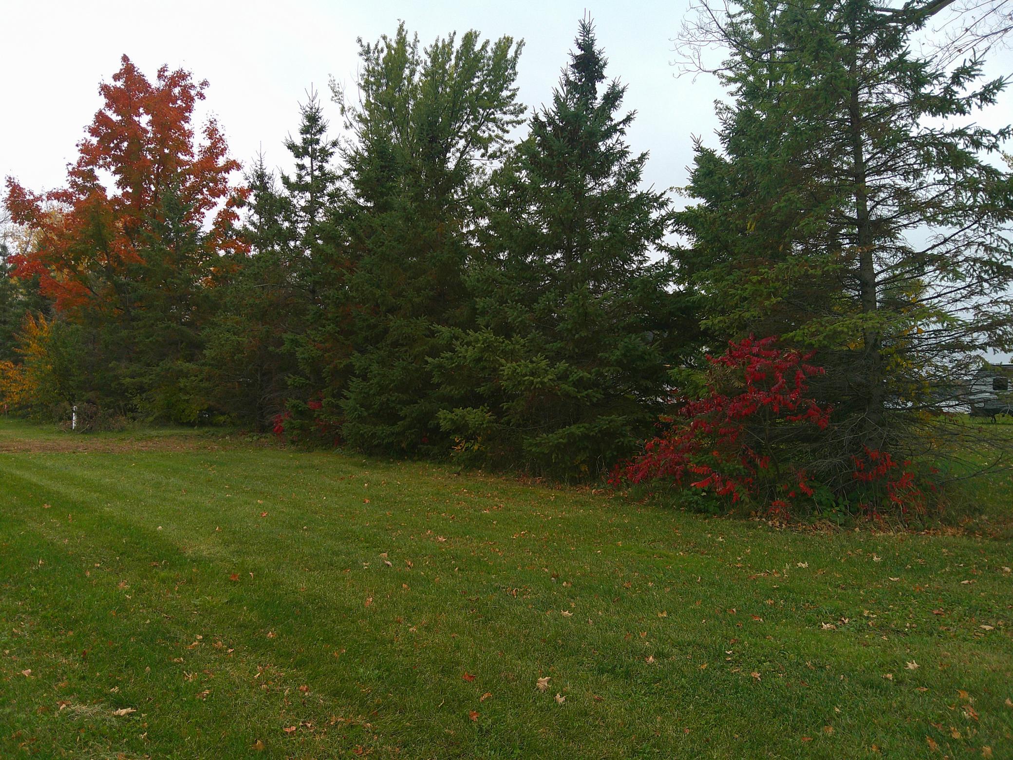 View of Land at 51170 Rush Lake Trail, Rush City MN 55069, Rush City (5 of 10) - Mike Wilen | Minnesota Team Real Estate
