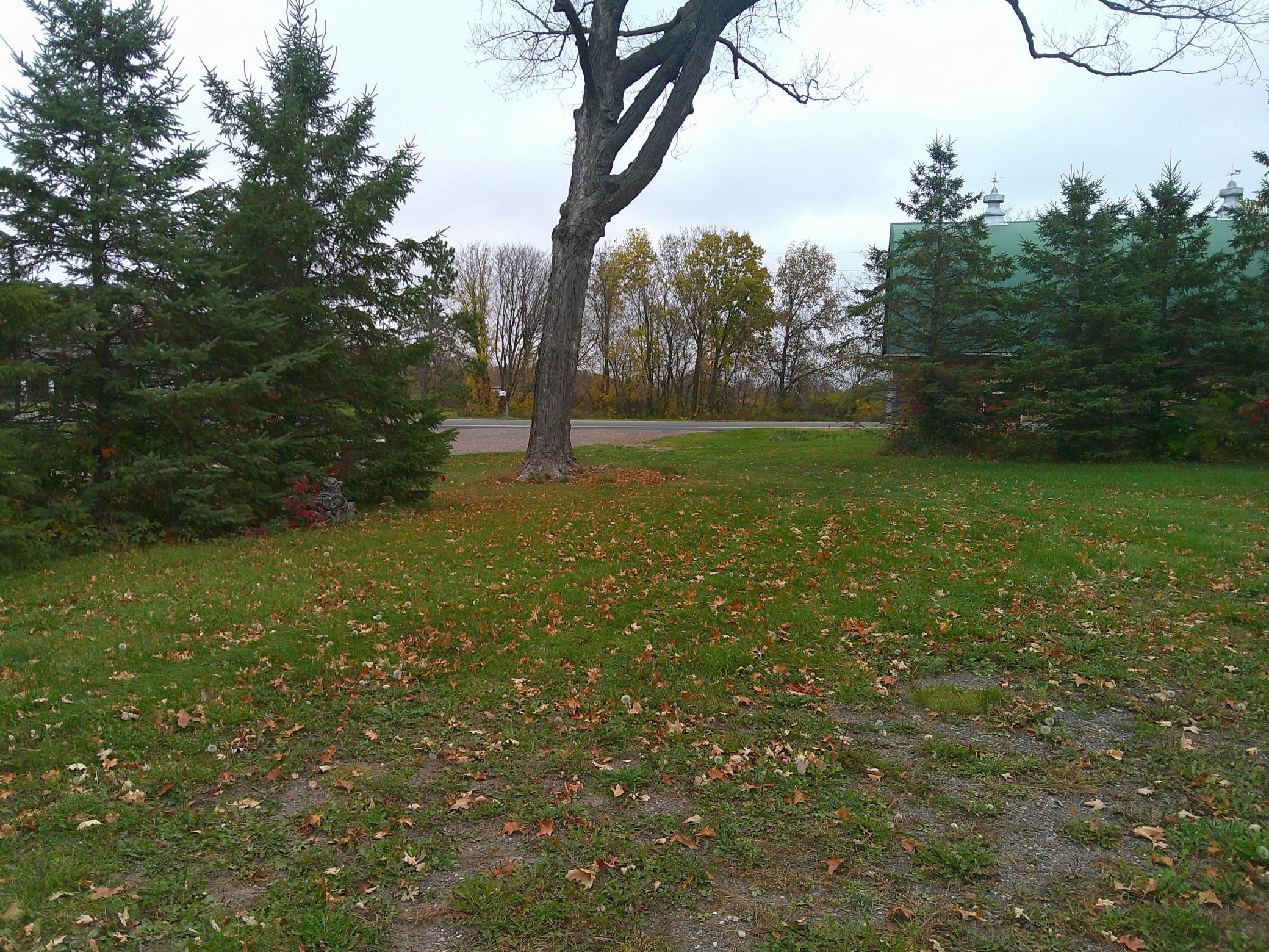 View of Land at 51170 Rush Lake Trail, Rush City MN 55069, Rush City (4 of 10) - Mike Wilen | Minnesota Team Real Estate