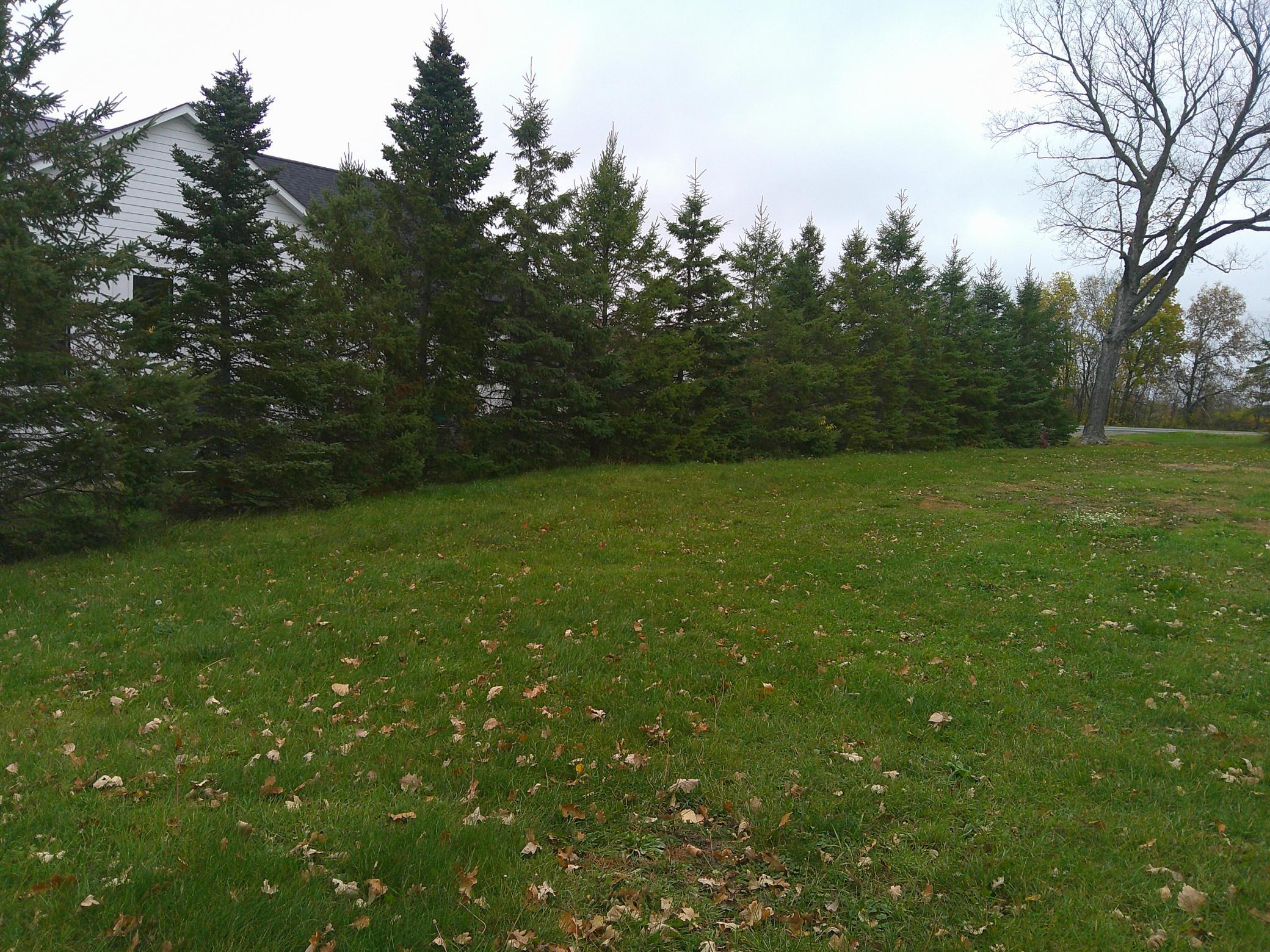 View of Land at 51170 Rush Lake Trail, Rush City MN 55069, Rush City (10 of 10) - Mike Wilen | Minnesota Team Real Estate