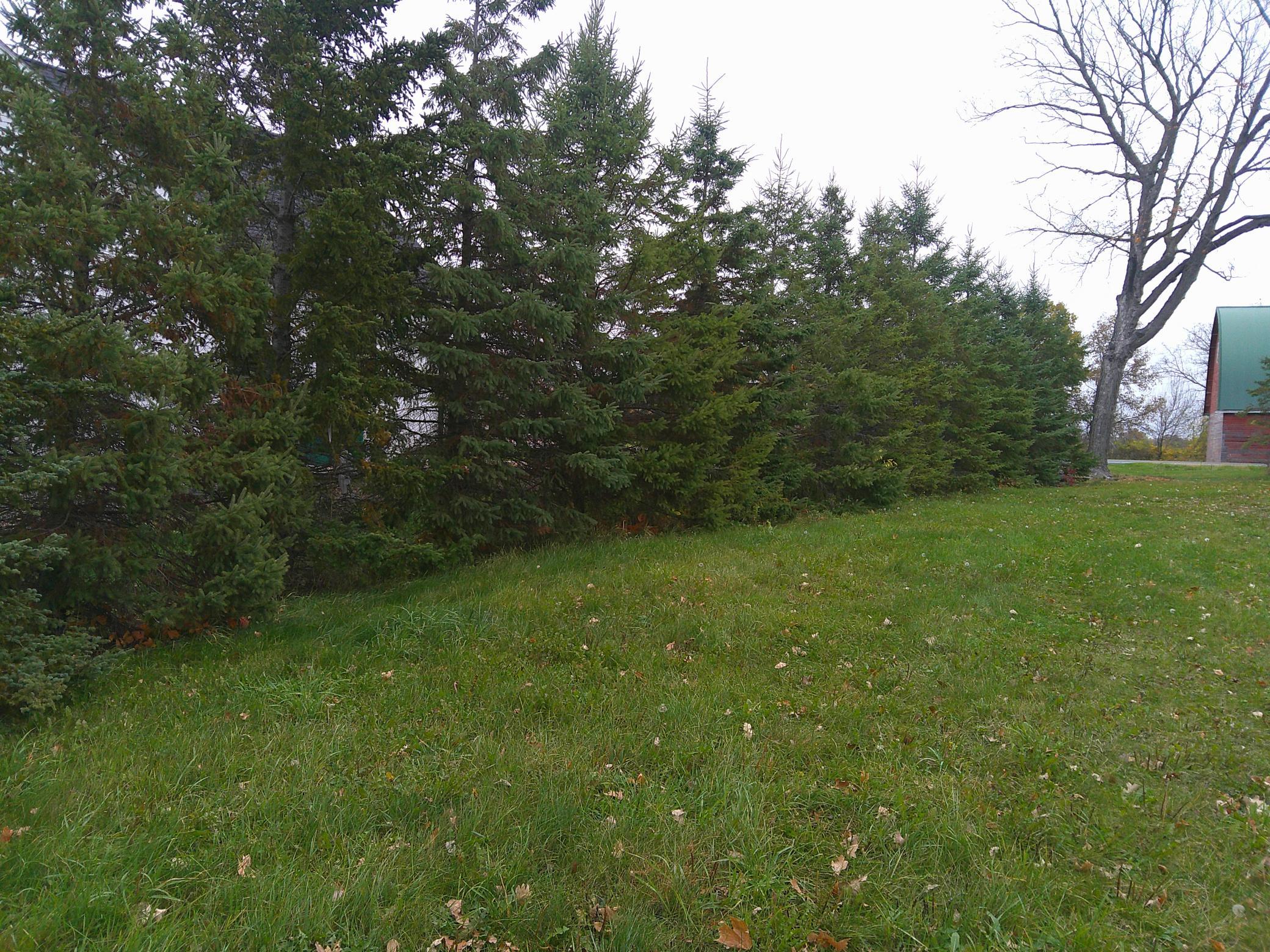 View of Land at 51170 Rush Lake Trail, Rush City MN 55069, Rush City (9 of 10) - Mike Wilen | Minnesota Team Real Estate