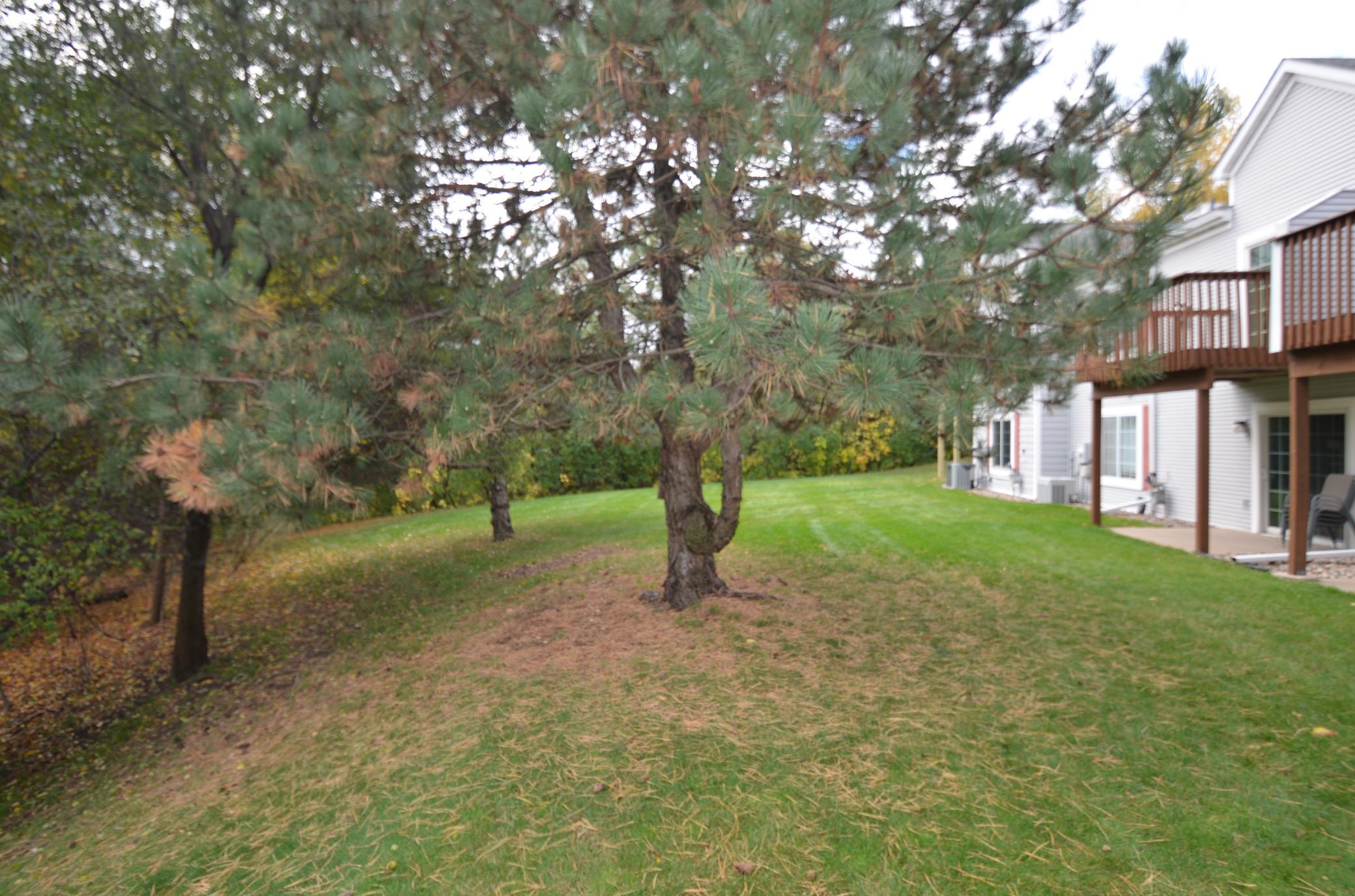 View of Residential at 194 Emerson Avenue, West Saint Paul MN 55118, West Saint Paul (40 of 61) - Mike Wilen | Minnesota Team Real Estate