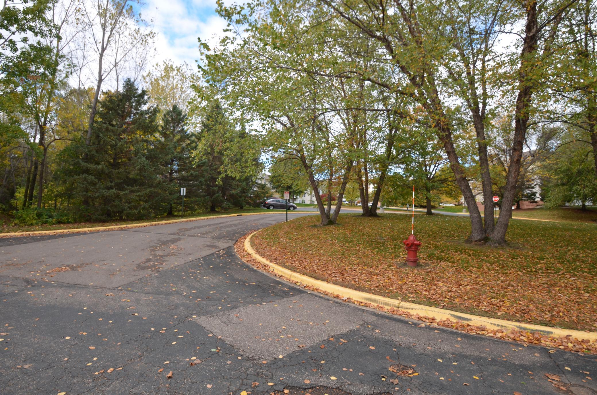 View of Residential at 194 Emerson Avenue, West Saint Paul MN 55118, West Saint Paul (38 of 61) - Mike Wilen | Minnesota Team Real Estate
