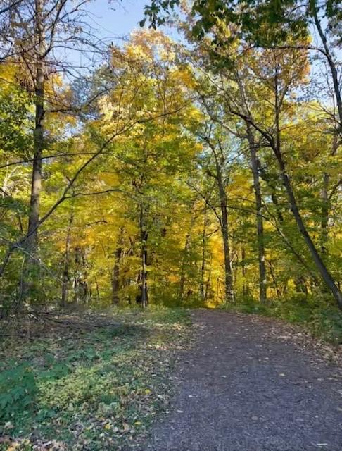 View of Residential at 3532 Pilgrim Lane, Plymouth MN 55441, Plymouth (39 of 41) - Mike Wilen | Minnesota Team Real Estate