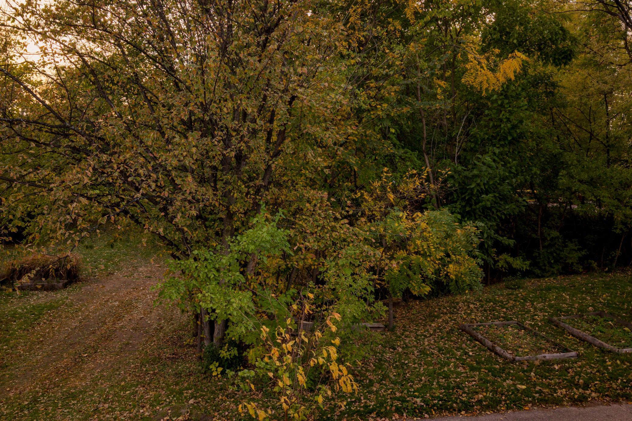View of Land at 289 Queen Avenue, Minneapolis MN 55405, Minneapolis (4 of 33) - Mike Wilen | Minnesota Team Real Estate