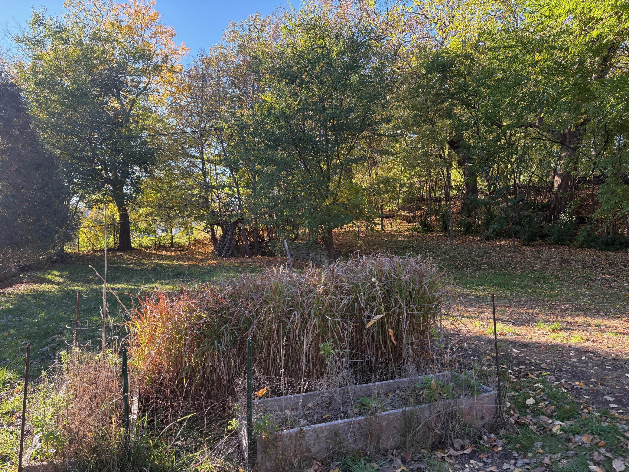 View of Land at 289 Queen Avenue, Minneapolis MN 55405, Minneapolis (11 of 33) - Mike Wilen | Minnesota Team Real Estate