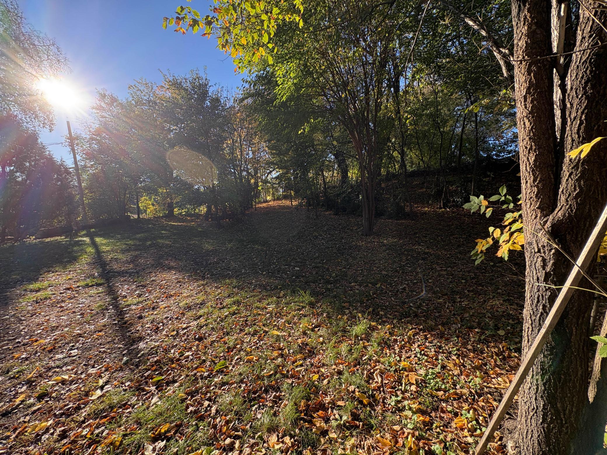 View of Land at 289 Queen Avenue, Minneapolis MN 55405, Minneapolis (6 of 33) - Mike Wilen | Minnesota Team Real Estate