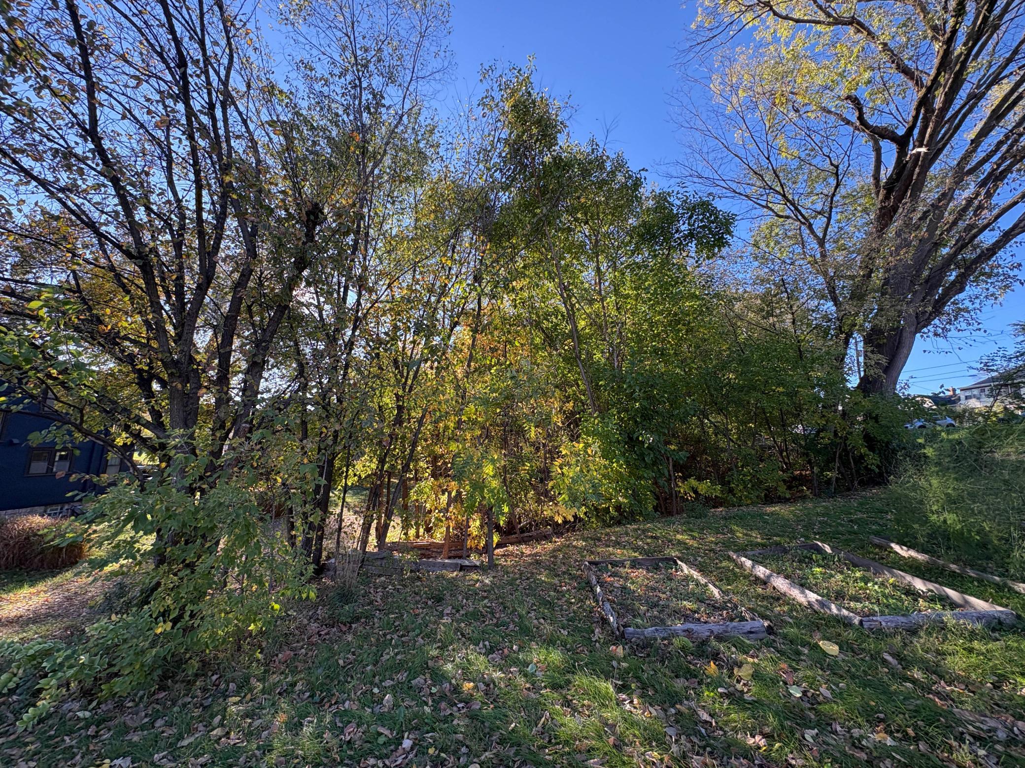 View of Land at 289 Queen Avenue, Minneapolis MN 55405, Minneapolis (18 of 33) - Mike Wilen | Minnesota Team Real Estate
