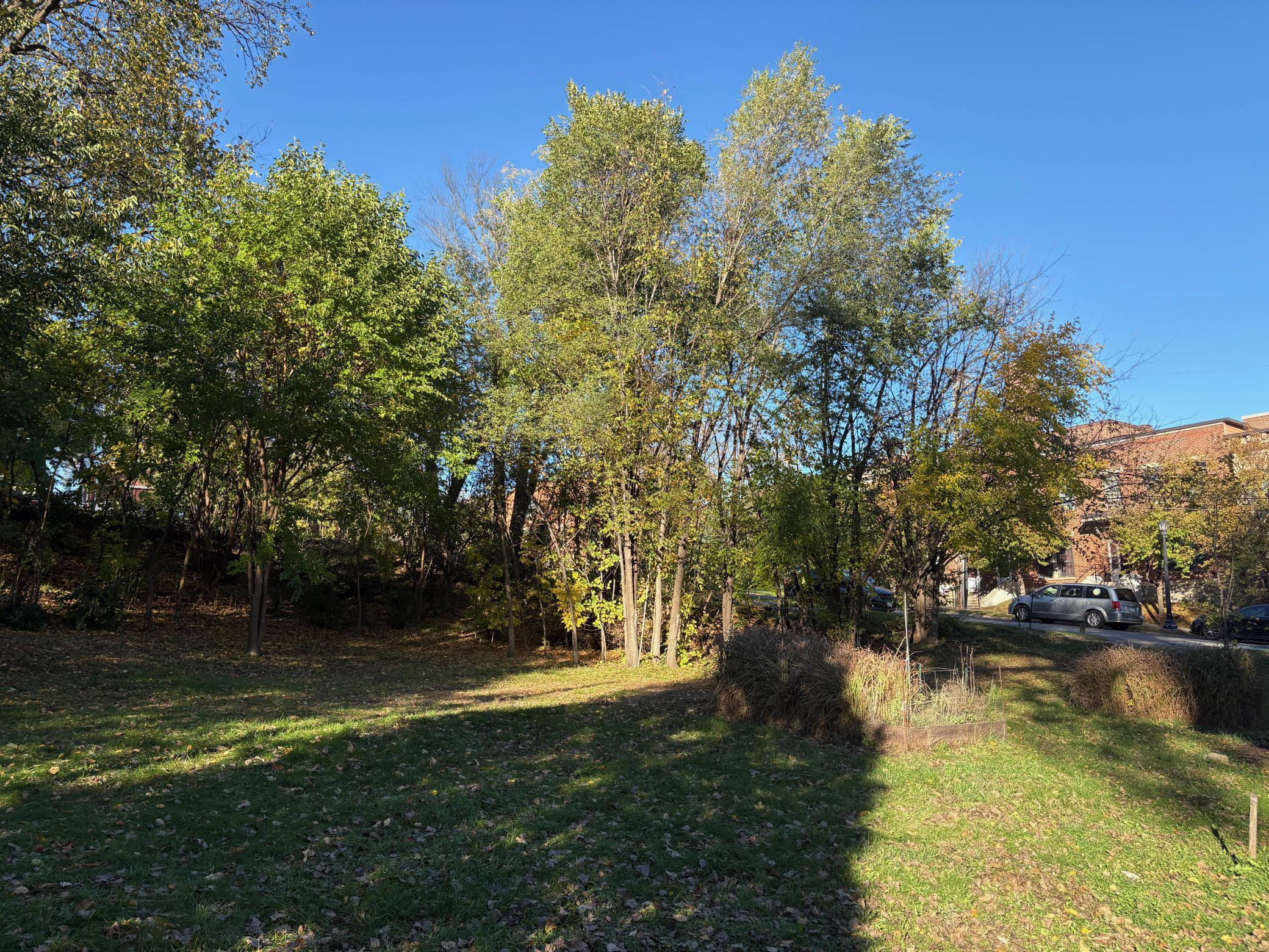 View of Land at 289 Queen Avenue, Minneapolis MN 55405, Minneapolis (10 of 33) - Mike Wilen | Minnesota Team Real Estate