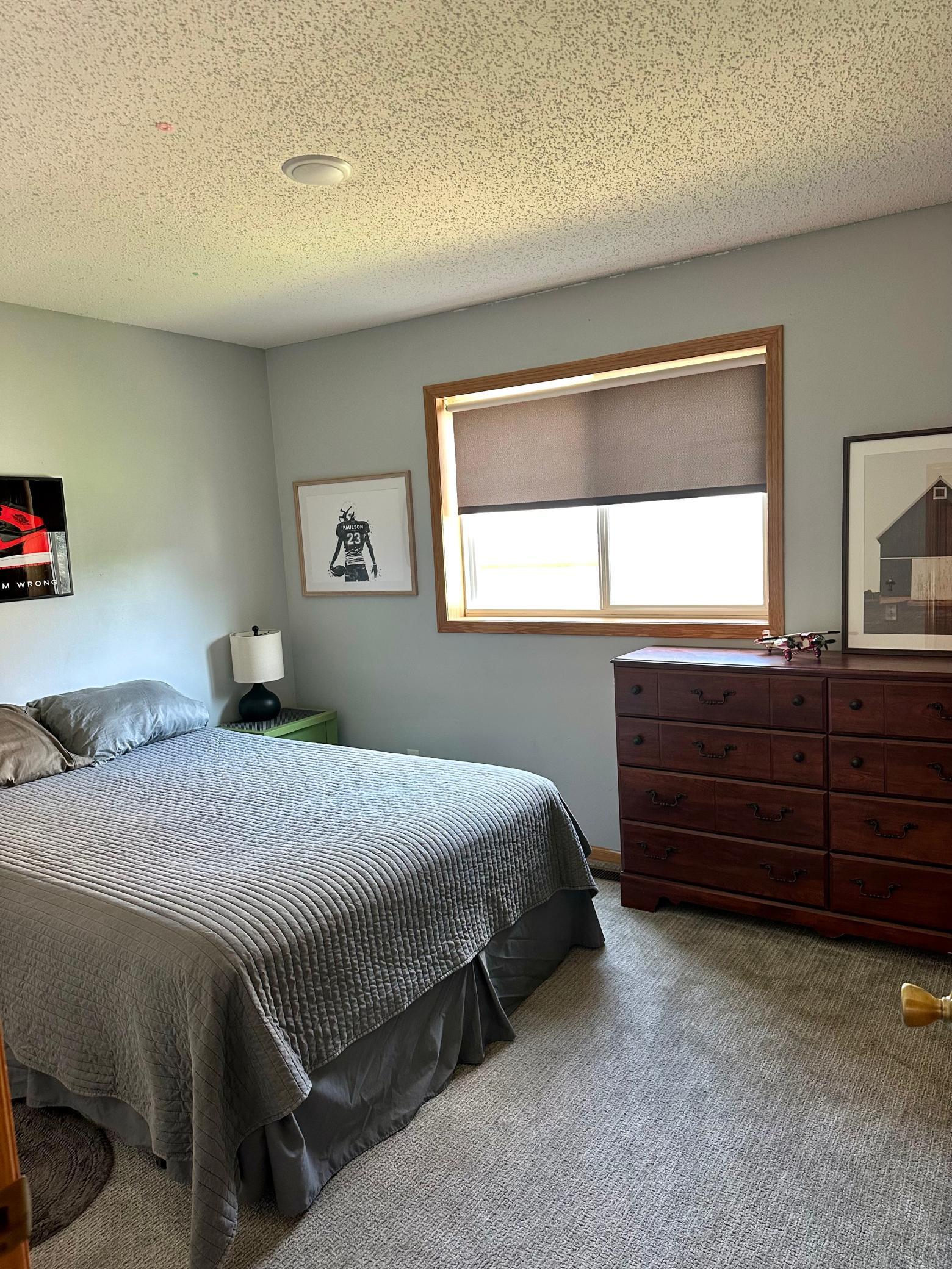 View of Residential at 211 Florence Avenue, Annandale MN 55302, Annandale (8 of 19) - Mike Wilen | Minnesota Team Real Estate