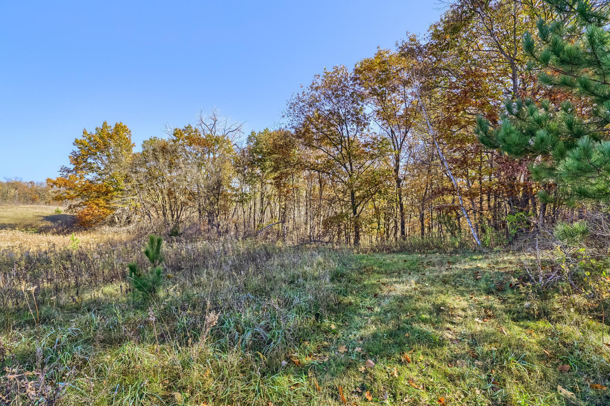 View of Land at XXXX2 Cleary Road, Nowthen MN 55303, Nowthen (3 of 9) - Mike Wilen | Minnesota Team Real Estate