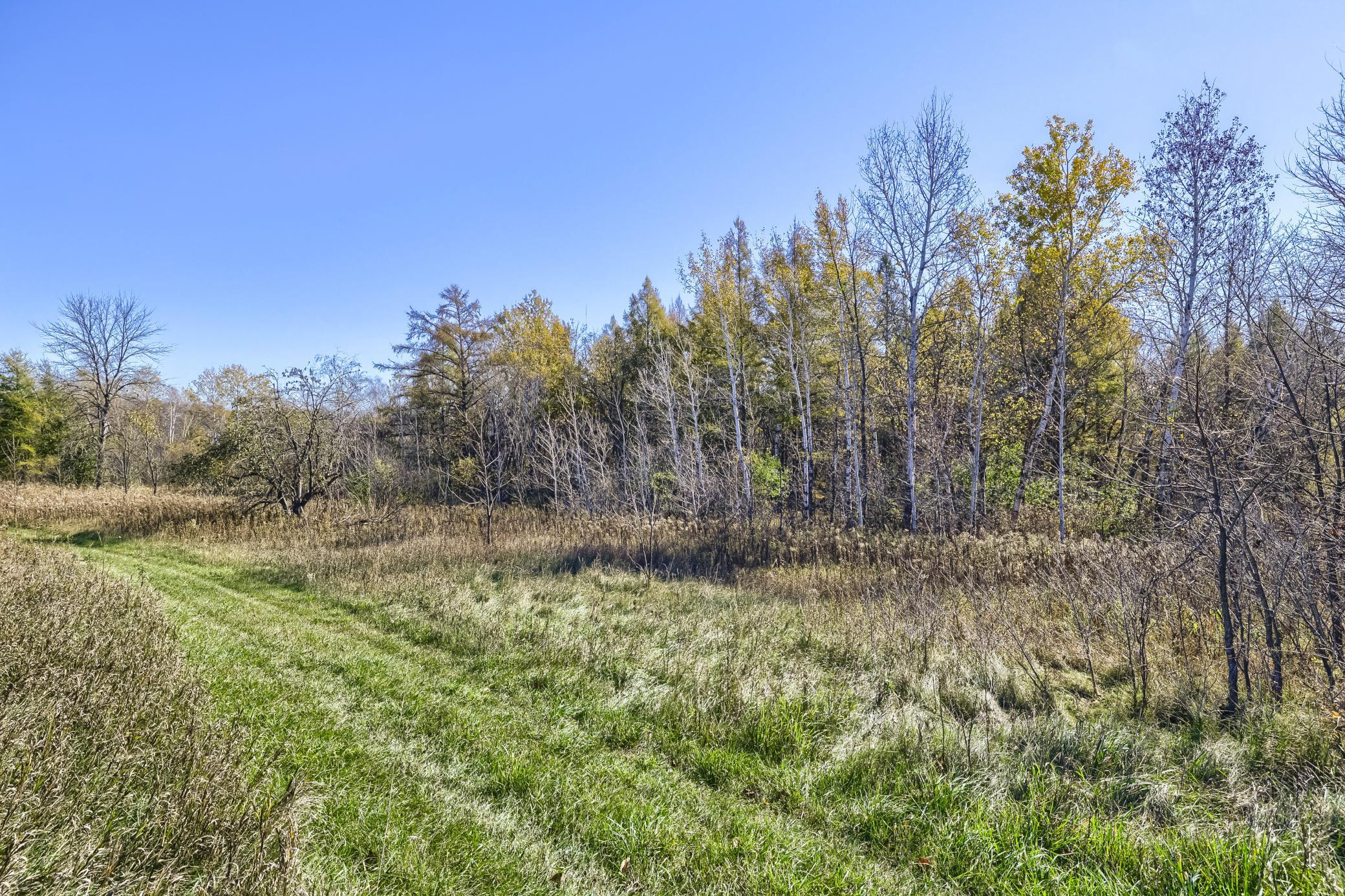 View of Land at XXXX2 Cleary Road, Nowthen MN 55303, Nowthen (5 of 9) - Mike Wilen | Minnesota Team Real Estate