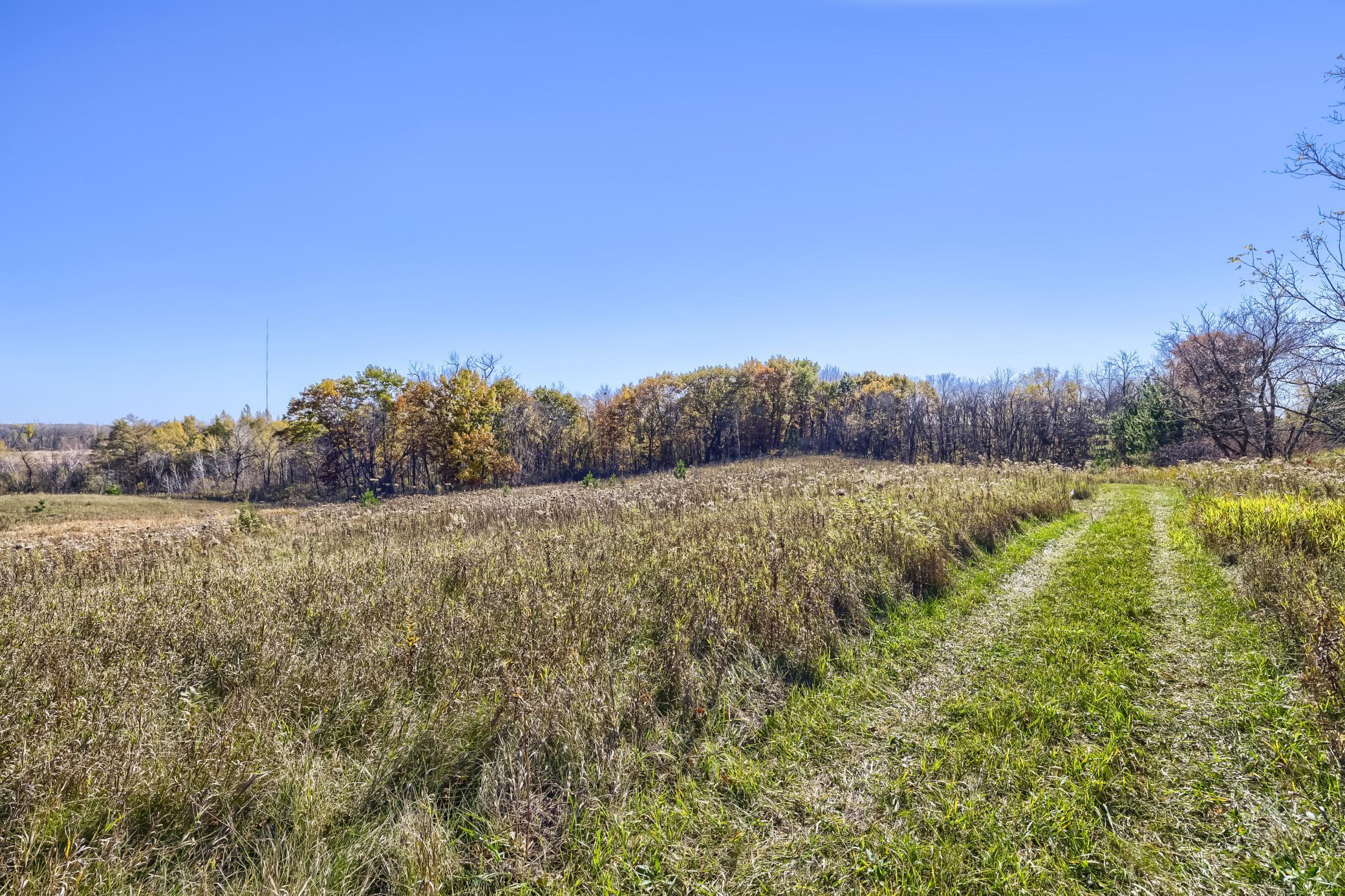 View of Land at XXXX2 Cleary Road, Nowthen MN 55303, Nowthen (6 of 9) - Mike Wilen | Minnesota Team Real Estate