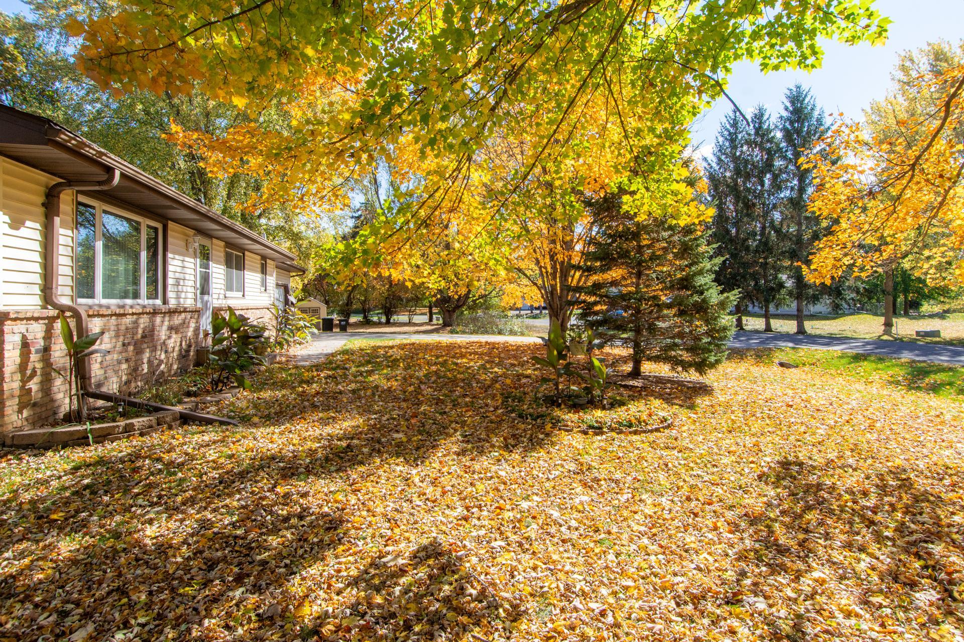 View of Residential at 16541 Mankato Street, Ham Lake MN 55304, Ham Lake (52 of 54) - Mike Wilen | Minnesota Team Real Estate