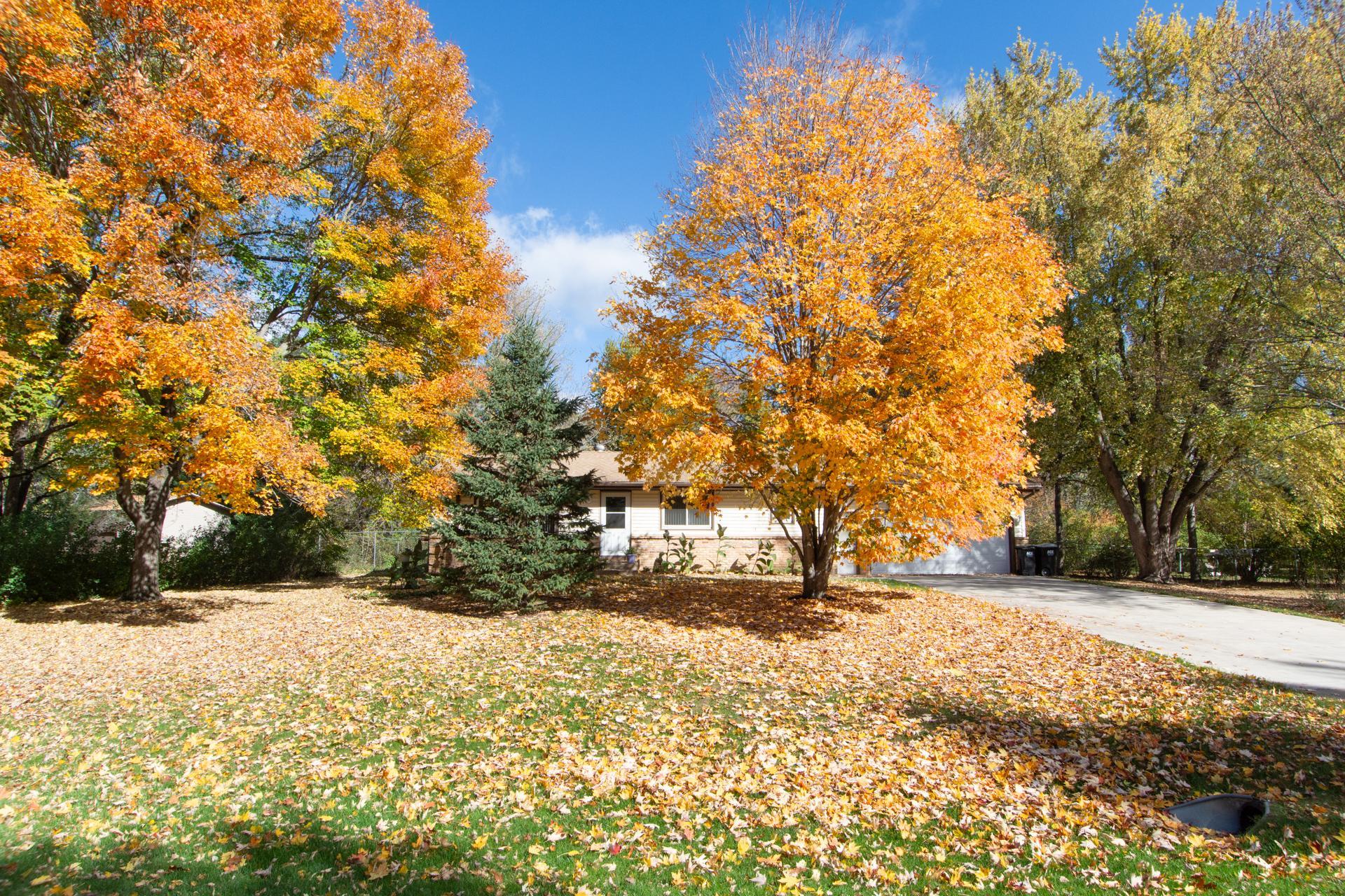 View of Residential at 16541 Mankato Street, Ham Lake MN 55304, Ham Lake (42 of 54) - Mike Wilen | Minnesota Team Real Estate