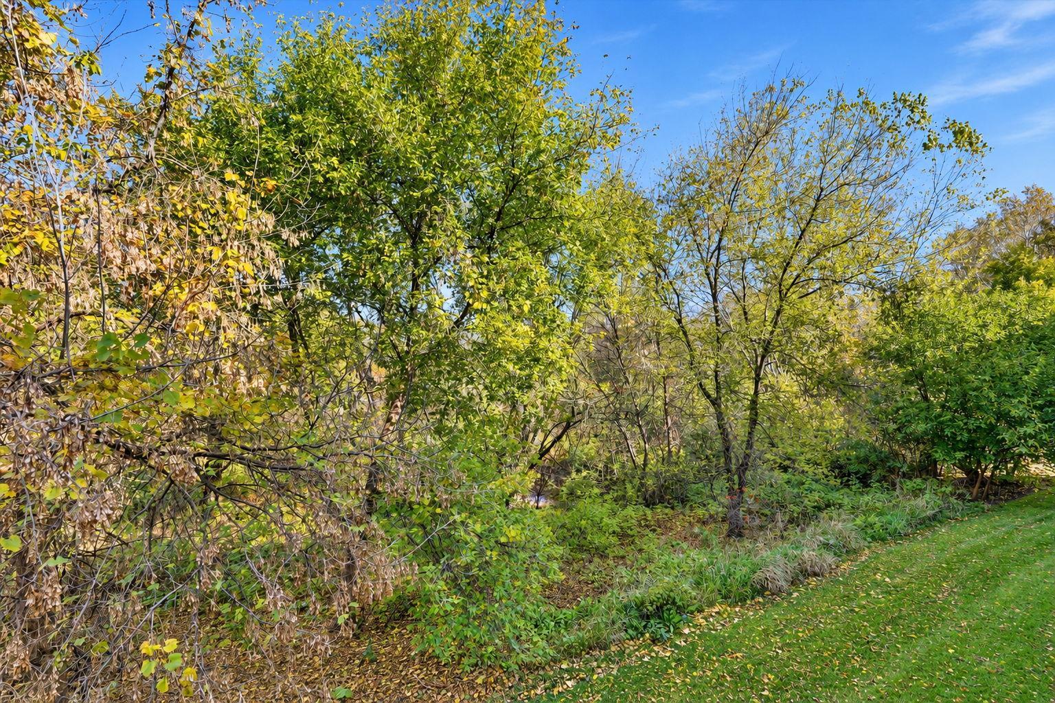 View of Residential at 8945 Olive Lane, Maple Grove MN 55311, Maple Grove (44 of 45) - Mike Wilen | Minnesota Team Real Estate