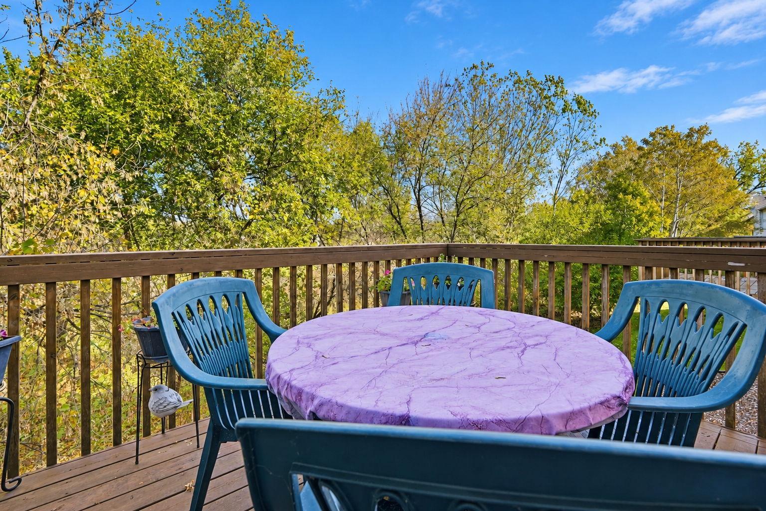 View of Residential at 8945 Olive Lane, Maple Grove MN 55311, Maple Grove (40 of 45) - Mike Wilen | Minnesota Team Real Estate