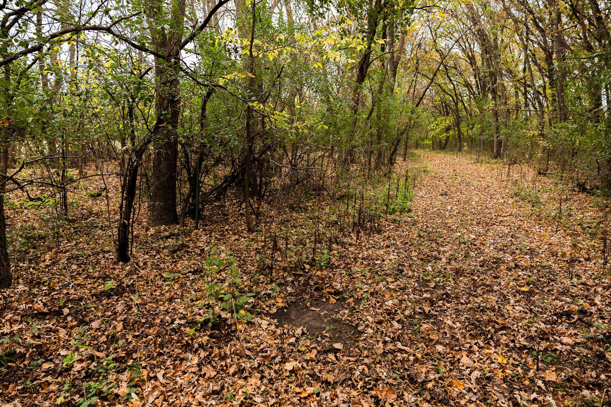 View of Land at TBD 47th St SE, Saint Cloud MN 56304, Saint Cloud (30 of 106) - Mike Wilen | Minnesota Team Real Estate