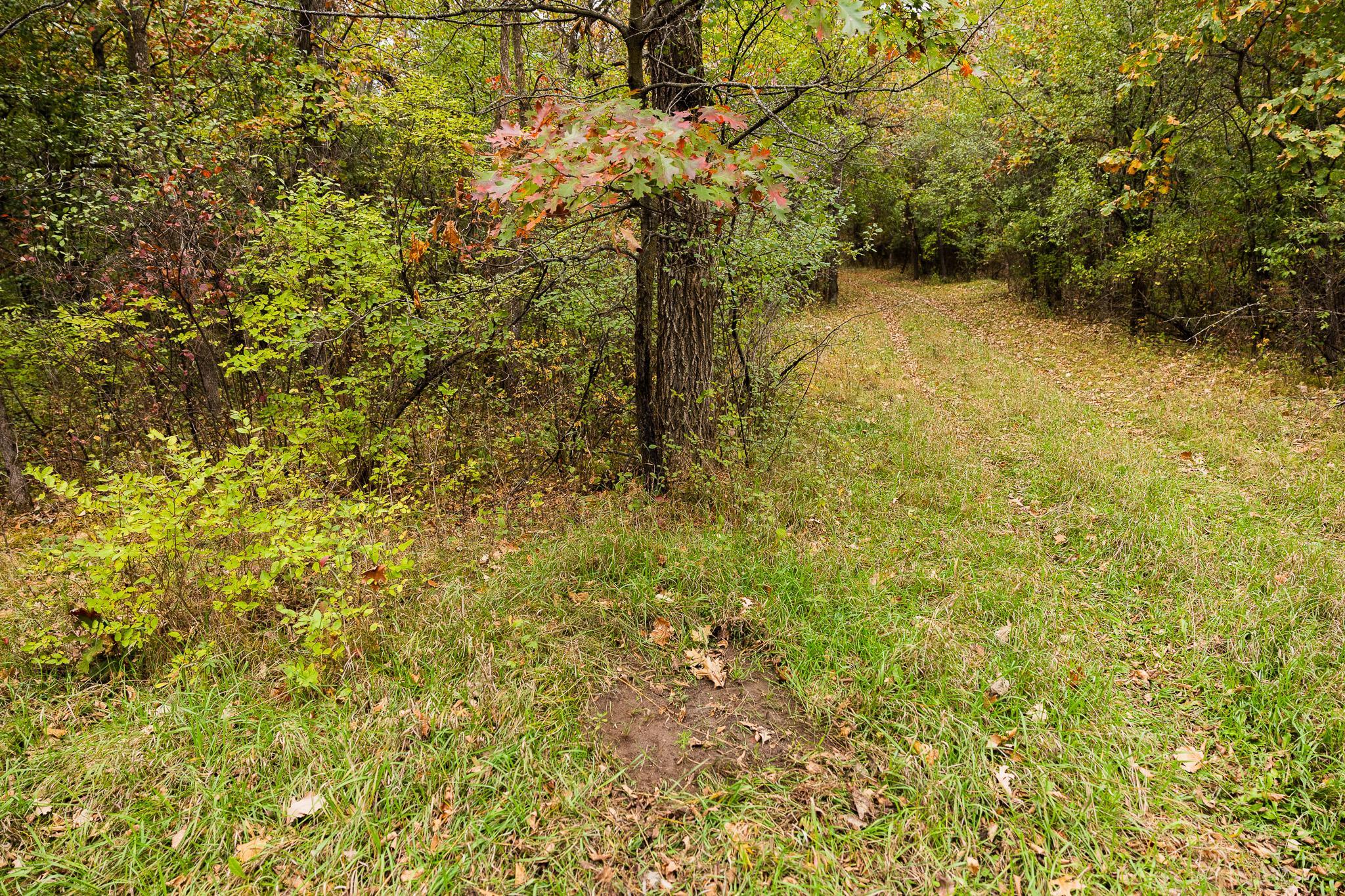 View of Land at TBD 47th St SE, Saint Cloud MN 56304, Saint Cloud (64 of 106) - Mike Wilen | Minnesota Team Real Estate