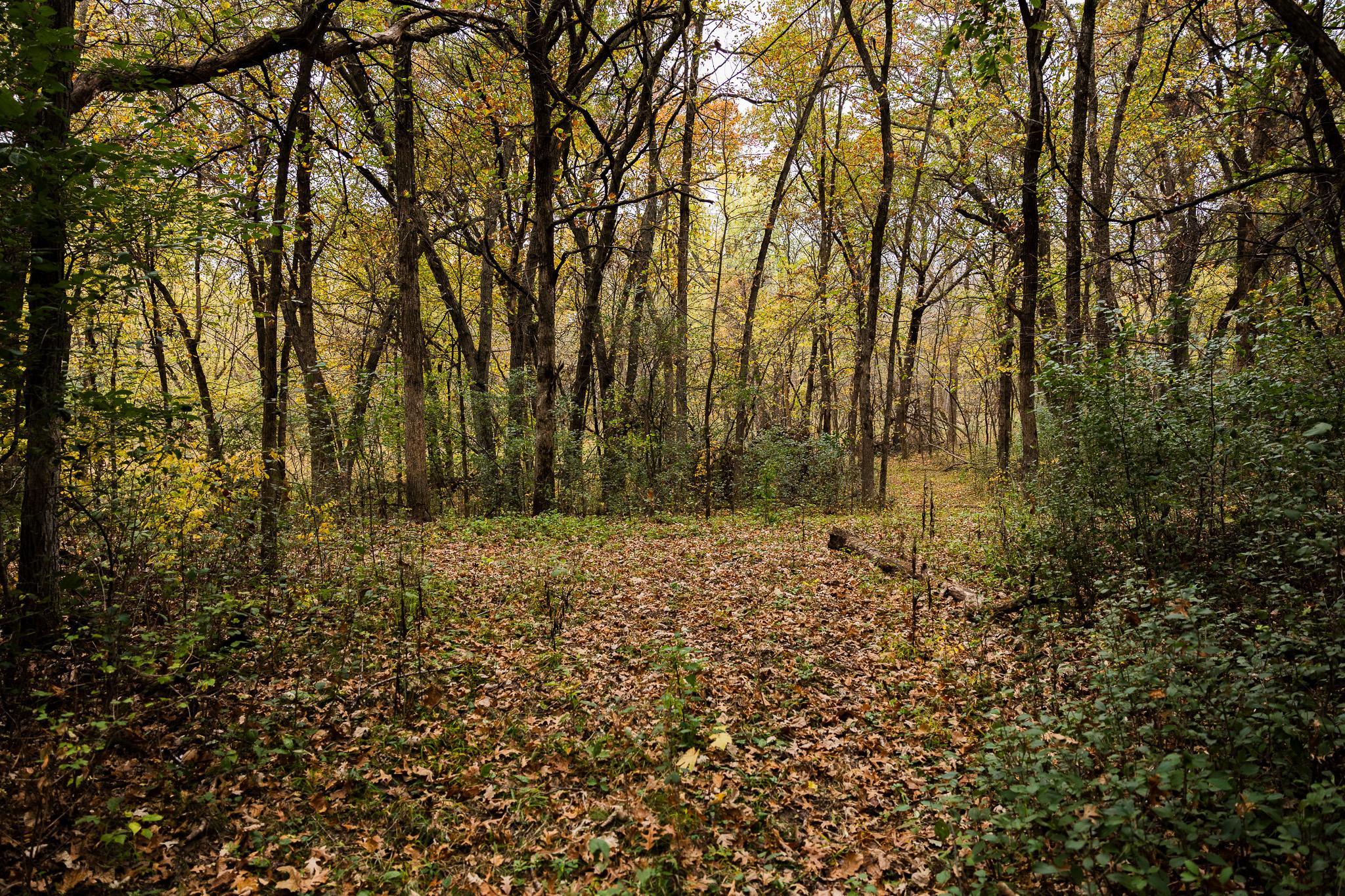 View of Land at TBD 47th St SE, Saint Cloud MN 56304, Saint Cloud (65 of 106) - Mike Wilen | Minnesota Team Real Estate