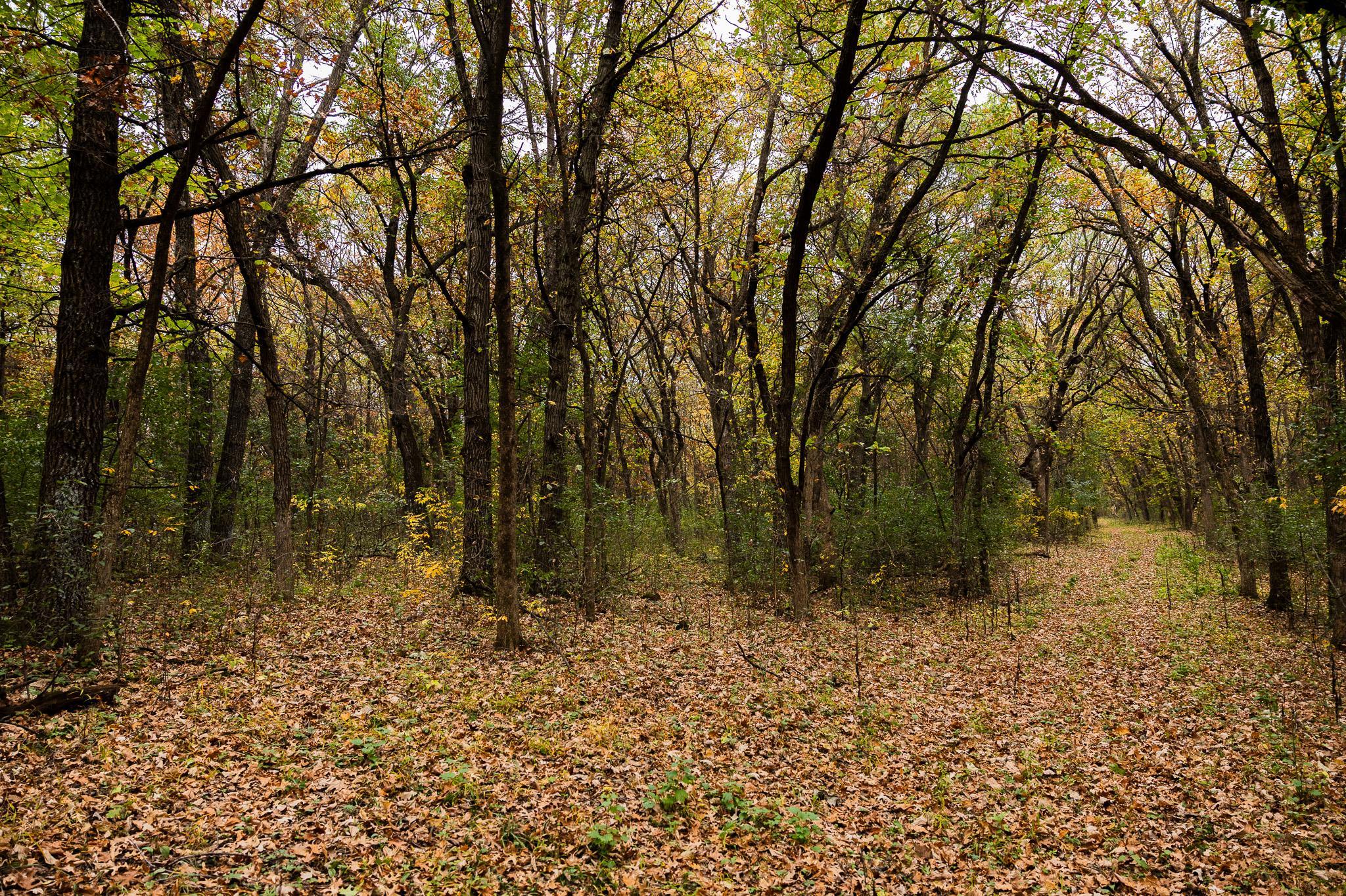 View of Land at TBD 47th St SE, Saint Cloud MN 56304, Saint Cloud (85 of 106) - Mike Wilen | Minnesota Team Real Estate