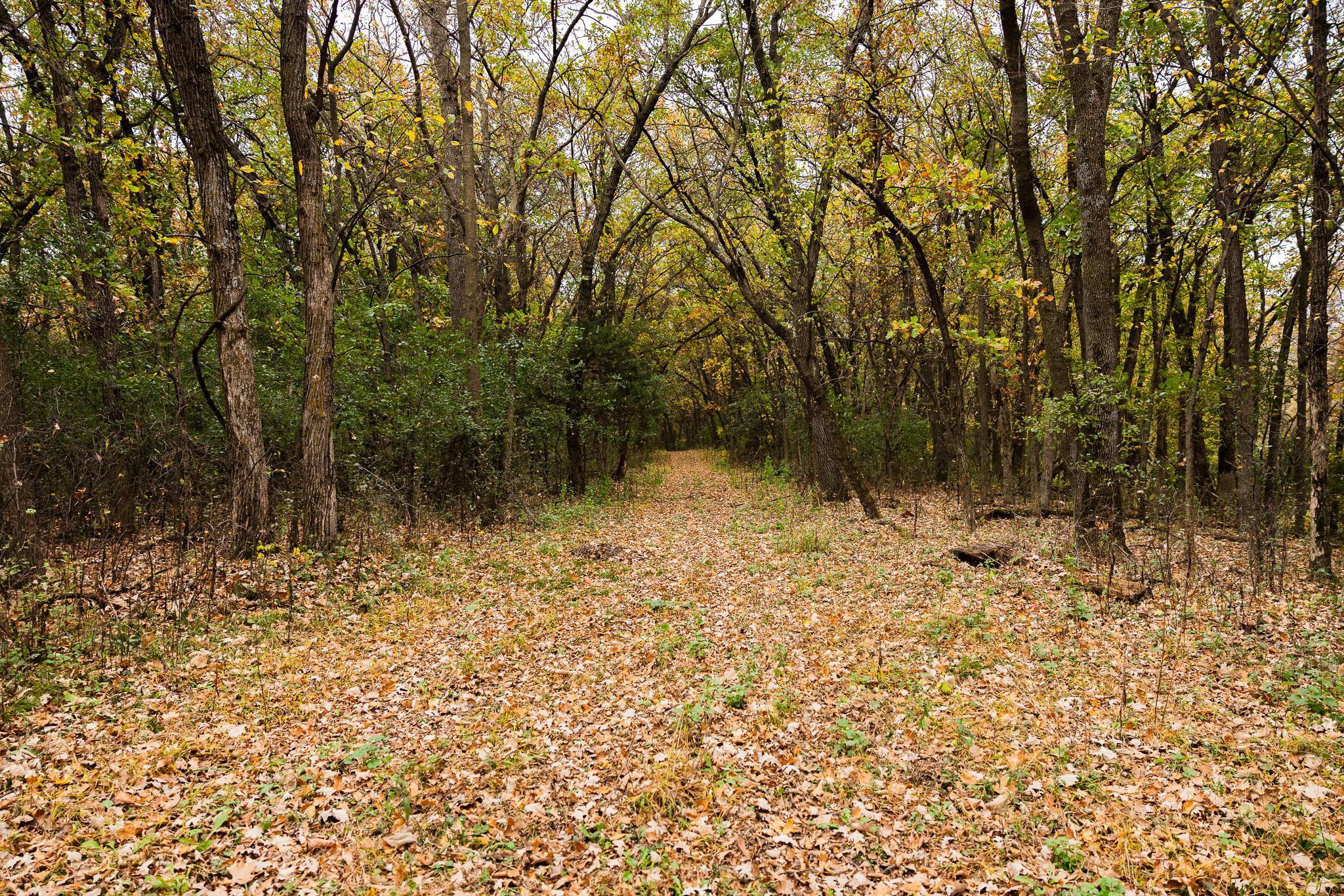 View of Land at TBD 47th St SE, Saint Cloud MN 56304, Saint Cloud (61 of 106) - Mike Wilen | Minnesota Team Real Estate
