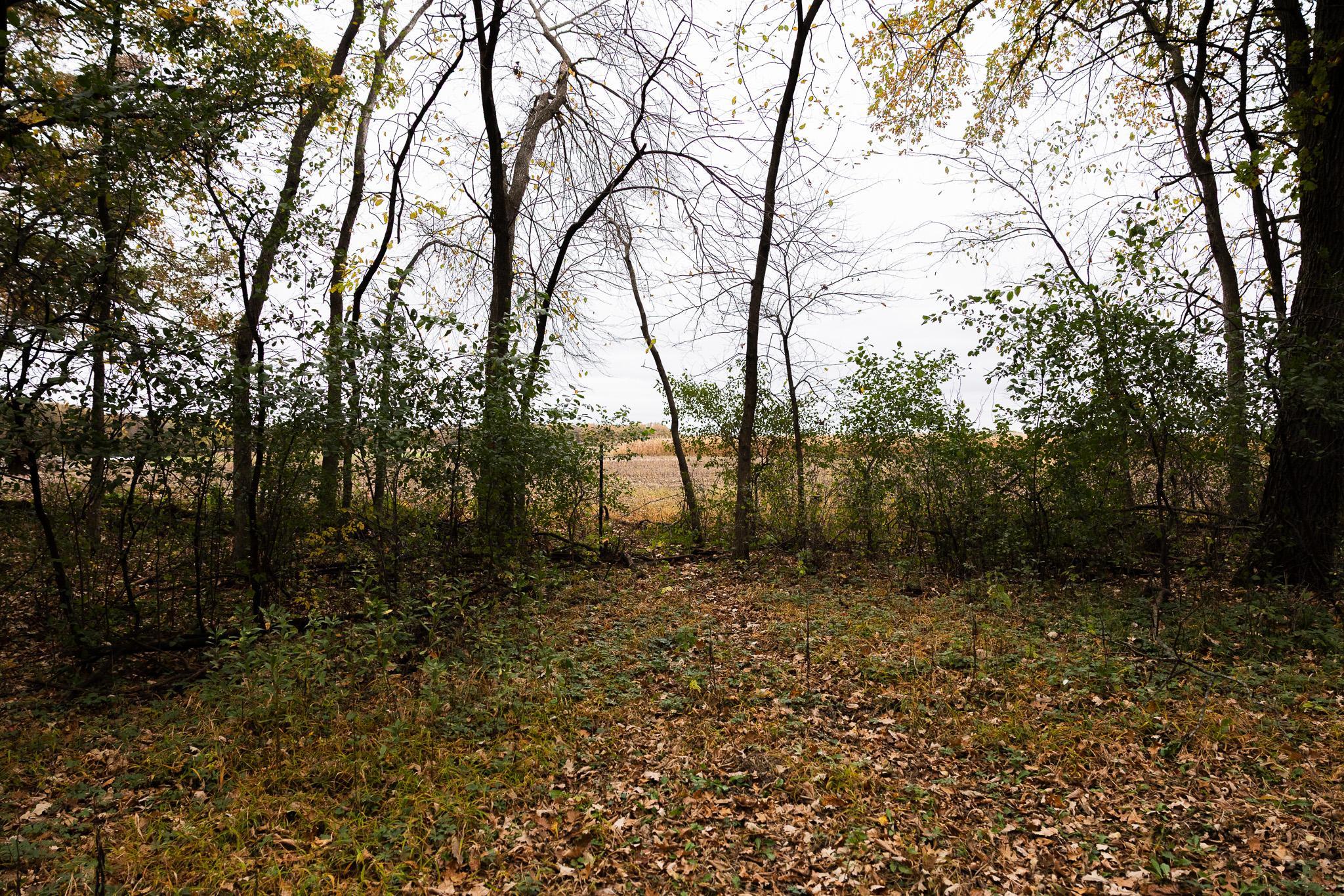 View of Land at TBD 47th St SE, Saint Cloud MN 56304, Saint Cloud (94 of 106) - Mike Wilen | Minnesota Team Real Estate