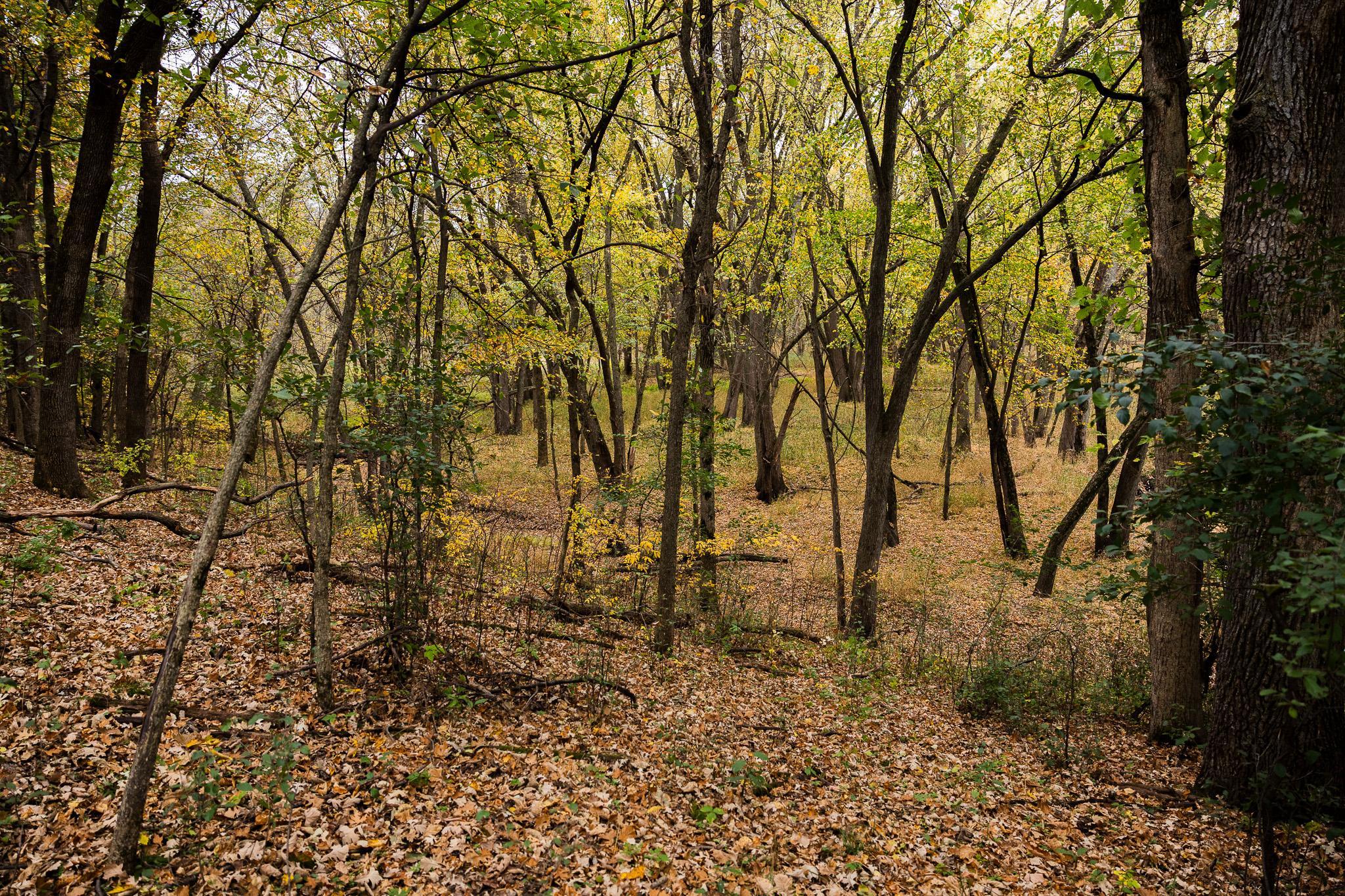 View of Land at TBD 47th St SE, Saint Cloud MN 56304, Saint Cloud (88 of 106) - Mike Wilen | Minnesota Team Real Estate