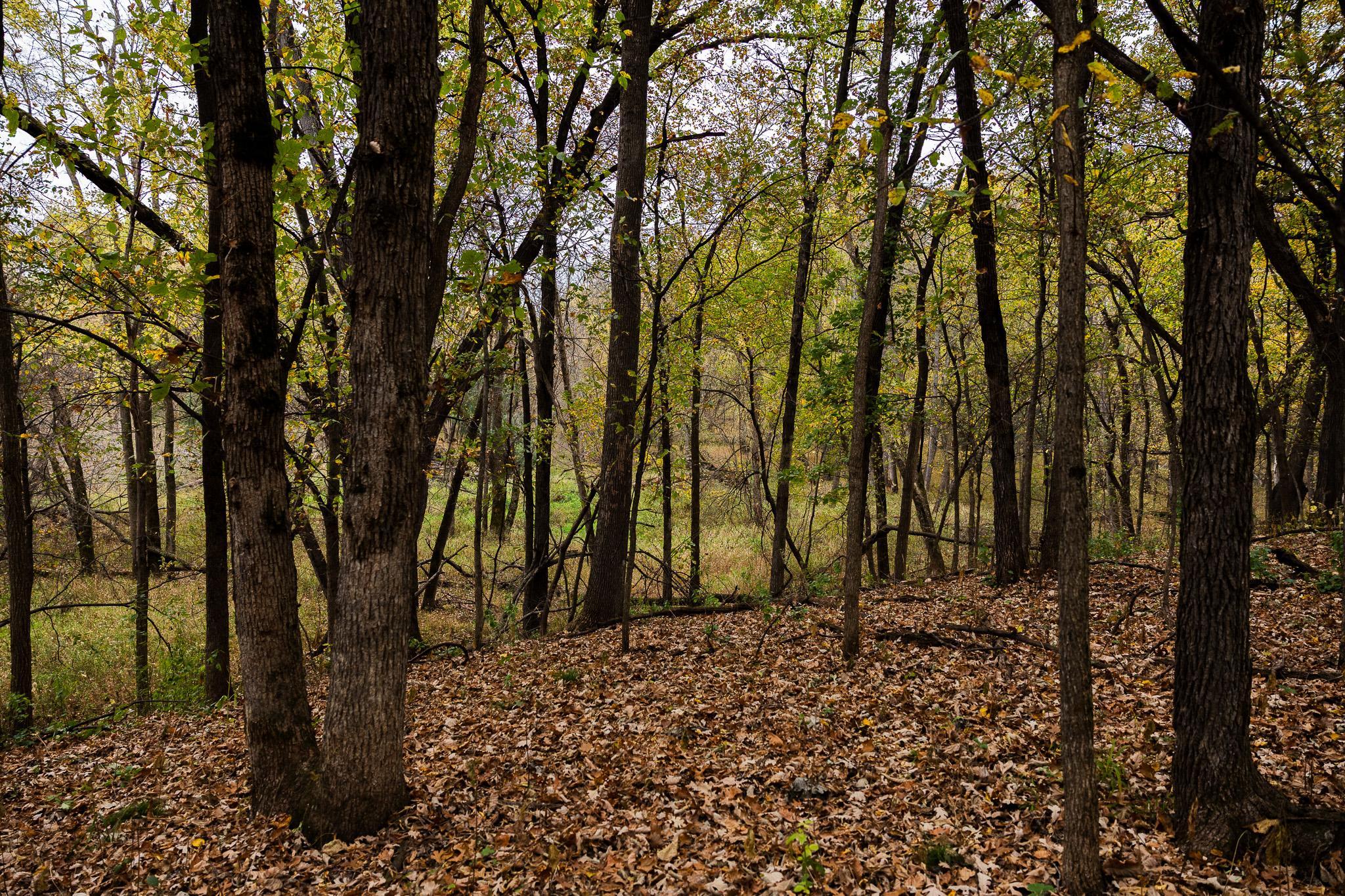 View of Land at TBD 47th St SE, Saint Cloud MN 56304, Saint Cloud (67 of 106) - Mike Wilen | Minnesota Team Real Estate