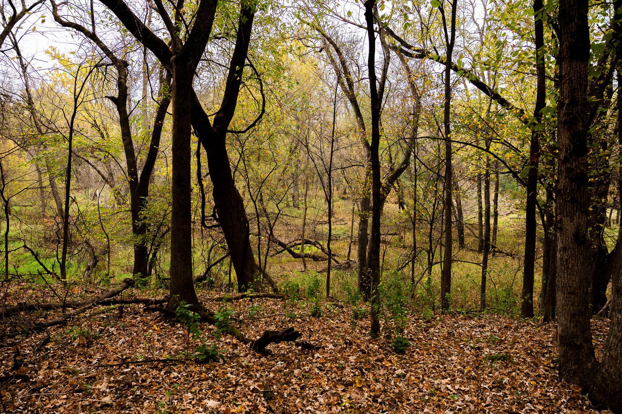 View of Land at TBD 47th St SE, Saint Cloud MN 56304, Saint Cloud (45 of 106) - Mike Wilen | Minnesota Team Real Estate