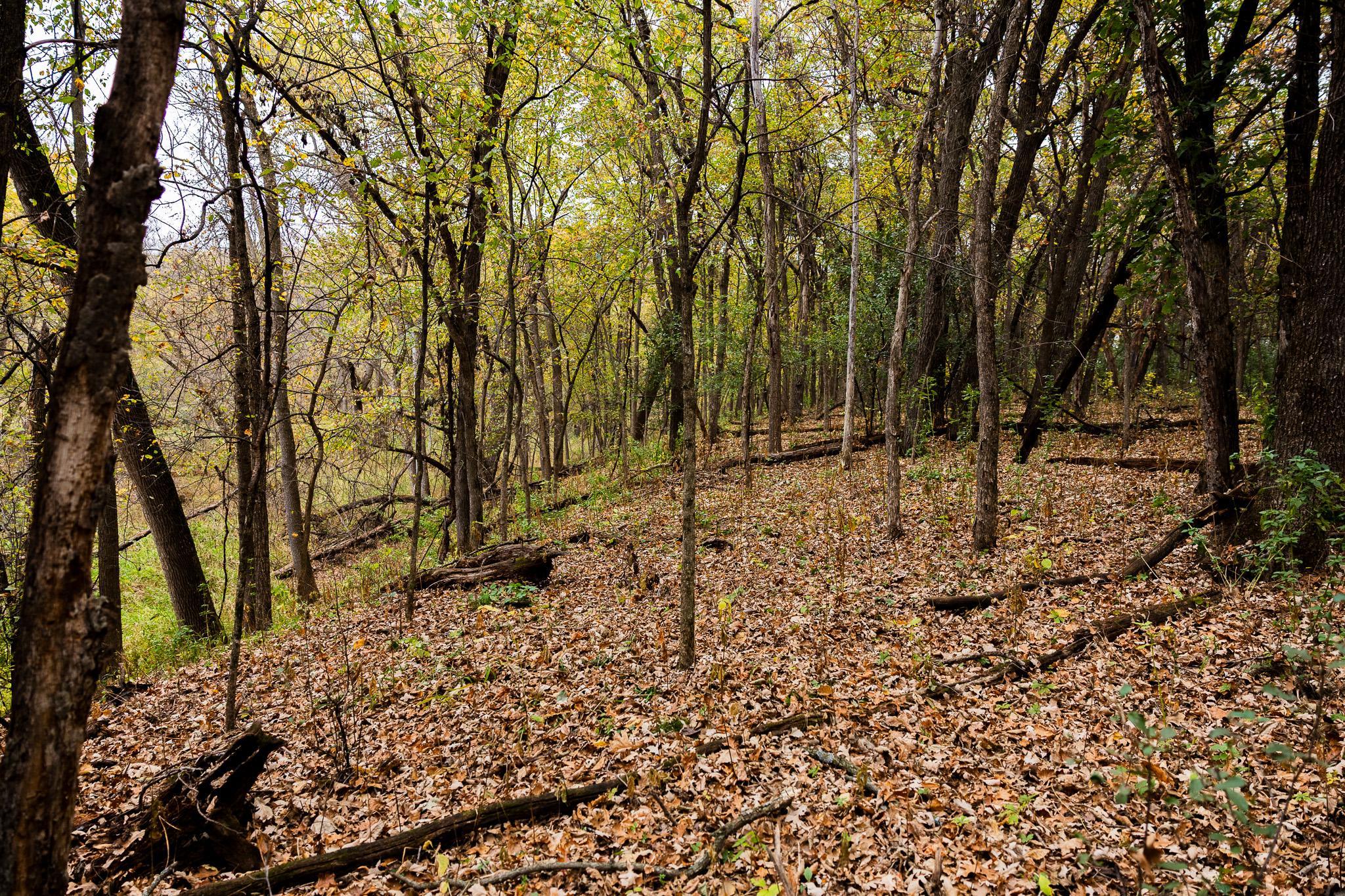 View of Land at TBD 47th St SE, Saint Cloud MN 56304, Saint Cloud (66 of 106) - Mike Wilen | Minnesota Team Real Estate