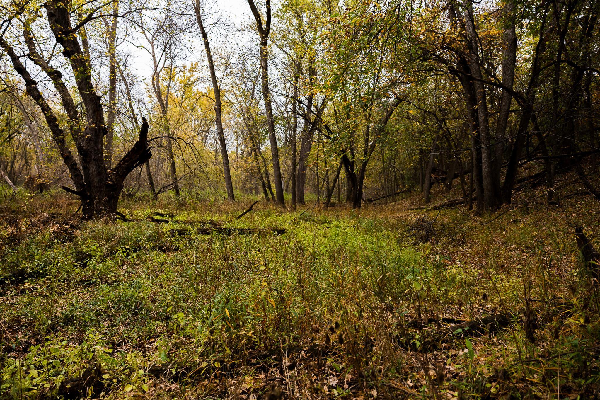 View of Land at TBD 47th St SE, Saint Cloud MN 56304, Saint Cloud (73 of 106) - Mike Wilen | Minnesota Team Real Estate