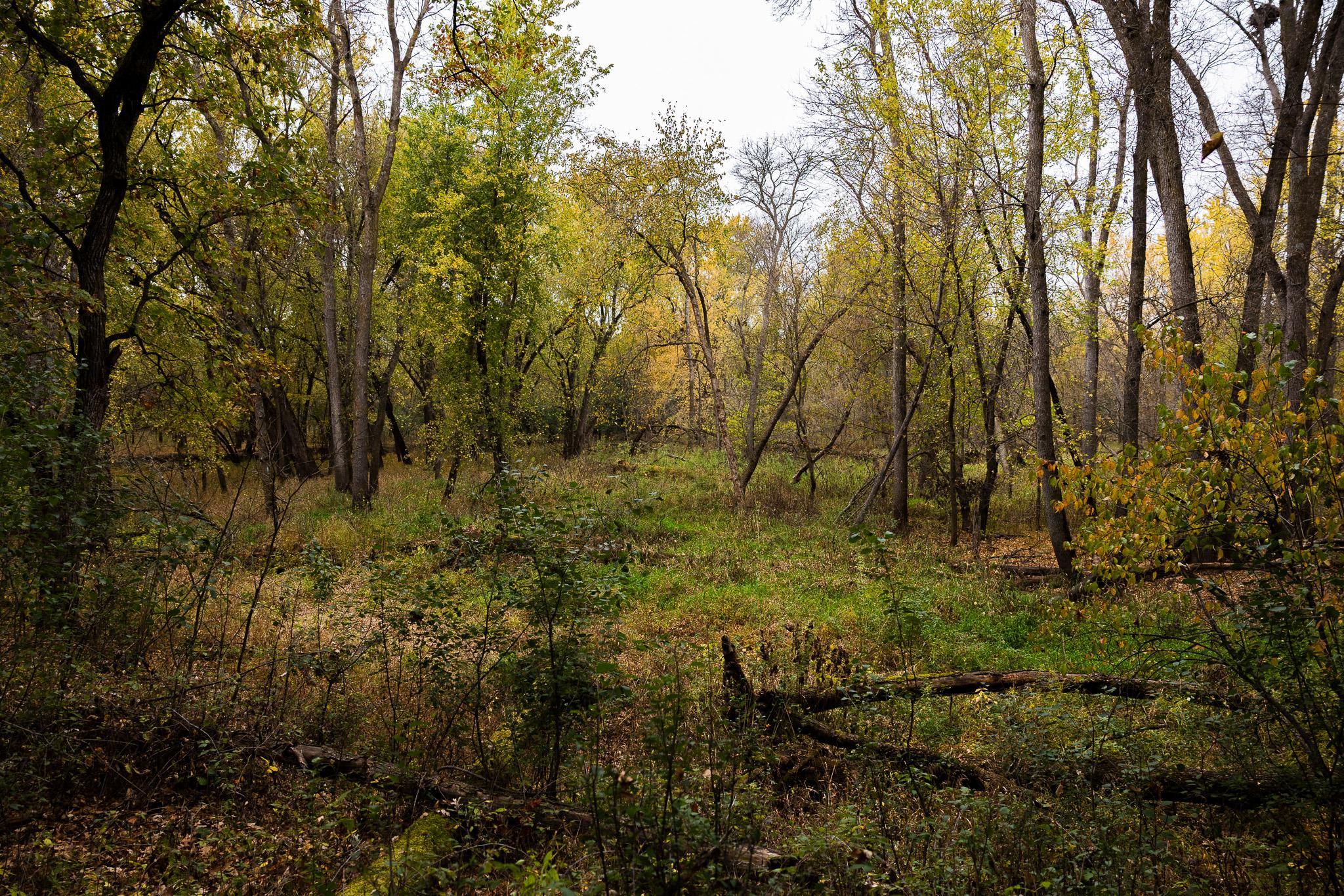 View of Land at TBD 47th St SE, Saint Cloud MN 56304, Saint Cloud (72 of 106) - Mike Wilen | Minnesota Team Real Estate