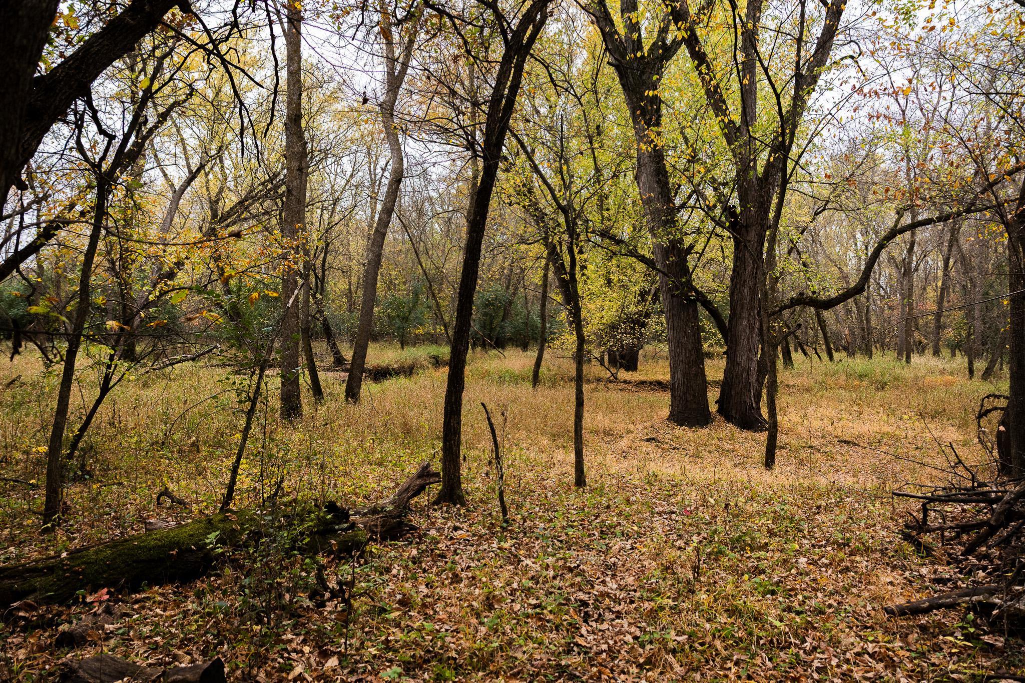 View of Land at TBD 47th St SE, Saint Cloud MN 56304, Saint Cloud (33 of 106) - Mike Wilen | Minnesota Team Real Estate