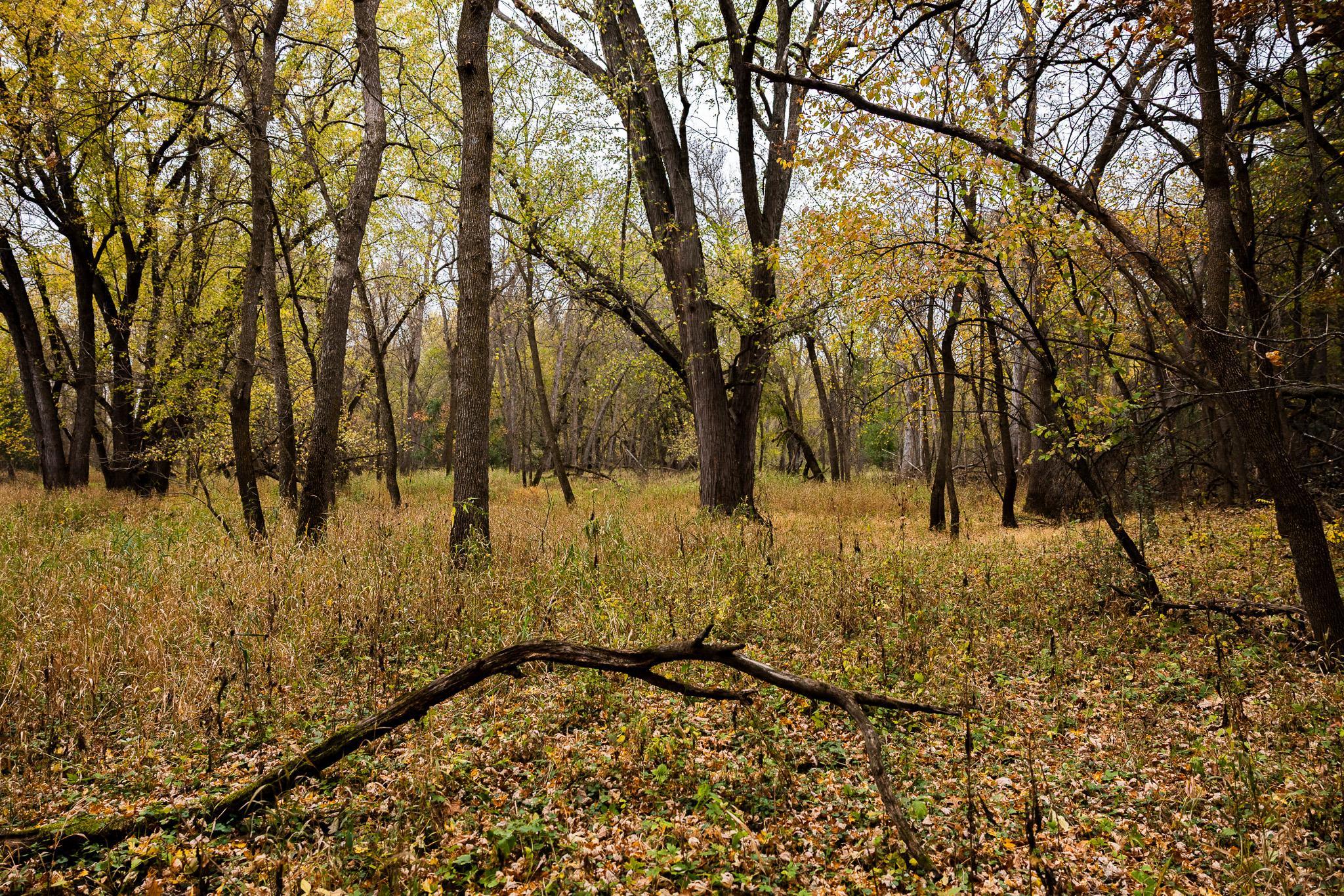 View of Land at TBD 47th St SE, Saint Cloud MN 56304, Saint Cloud (75 of 106) - Mike Wilen | Minnesota Team Real Estate