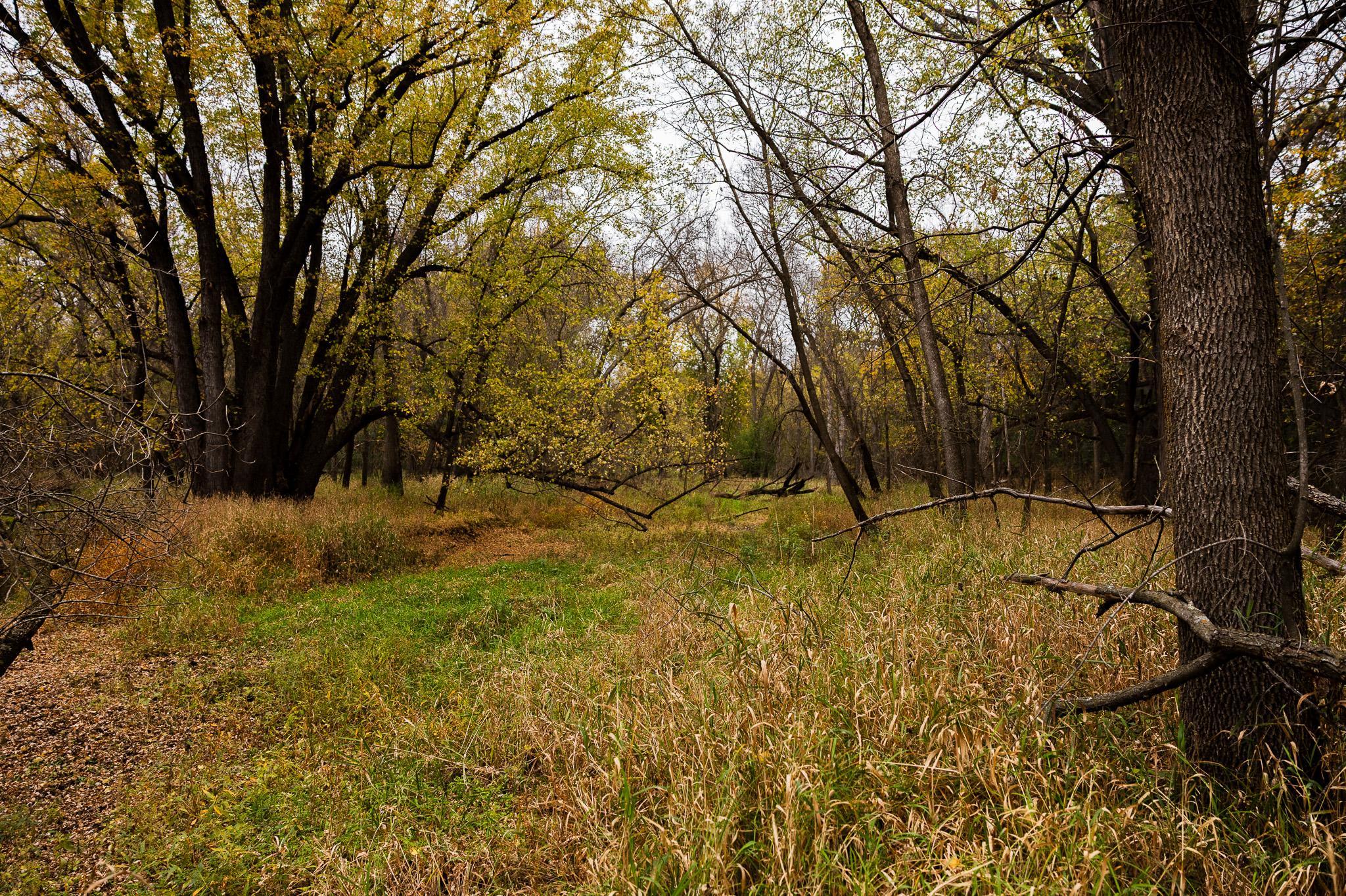 View of Land at TBD 47th St SE, Saint Cloud MN 56304, Saint Cloud (59 of 106) - Mike Wilen | Minnesota Team Real Estate