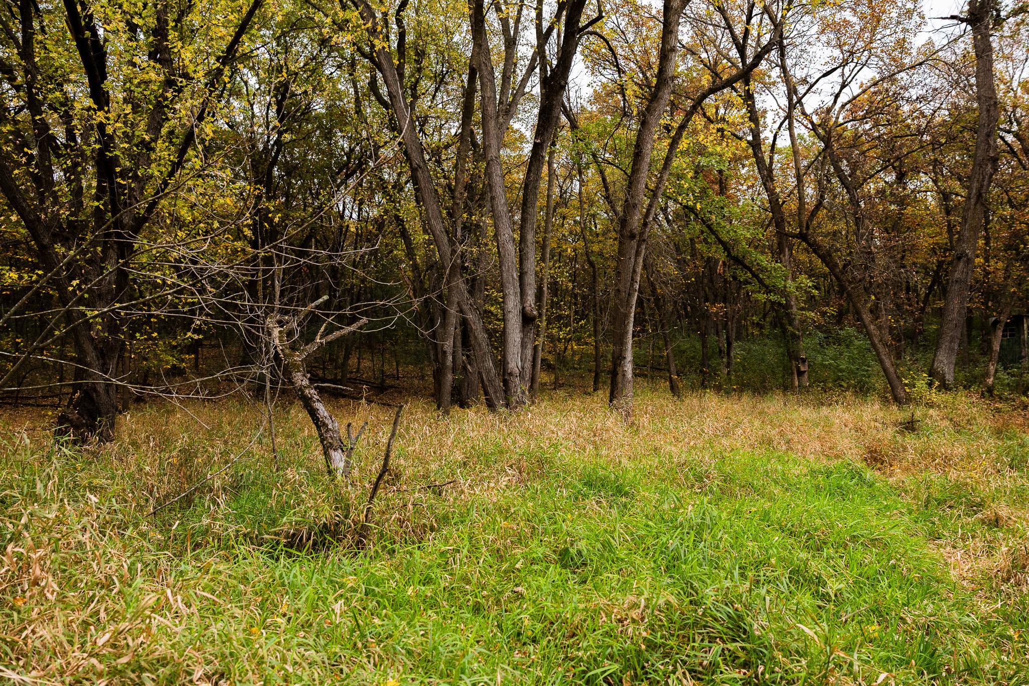 View of Land at TBD 47th St SE, Saint Cloud MN 56304, Saint Cloud (74 of 106) - Mike Wilen | Minnesota Team Real Estate