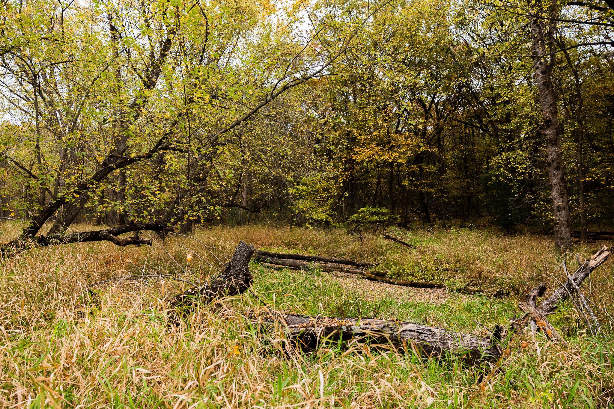 View of Land at TBD 47th St SE, Saint Cloud MN 56304, Saint Cloud (92 of 106) - Mike Wilen | Minnesota Team Real Estate